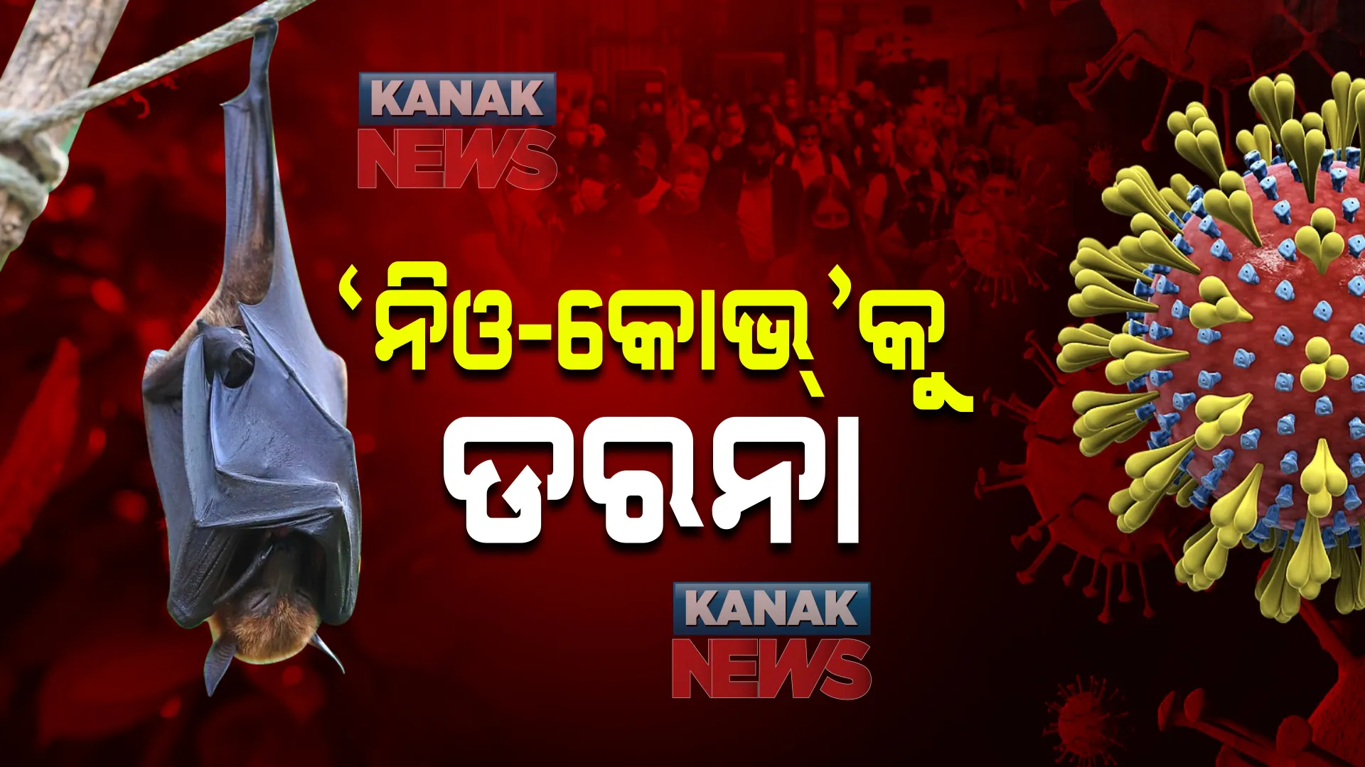ନୂଆ ଭୂତାଣୁ ‘ନିଓ-କୋଭ’କୁ ନେଇ ଅଯଥା ଡରାଅନି : ବିଶେଷଜ୍ଞ କହିଲେ, ଏଯାଏଁ ହୋଇନି ବୈଜ୍ଞାନିକ ସମୀକ୍ଷା