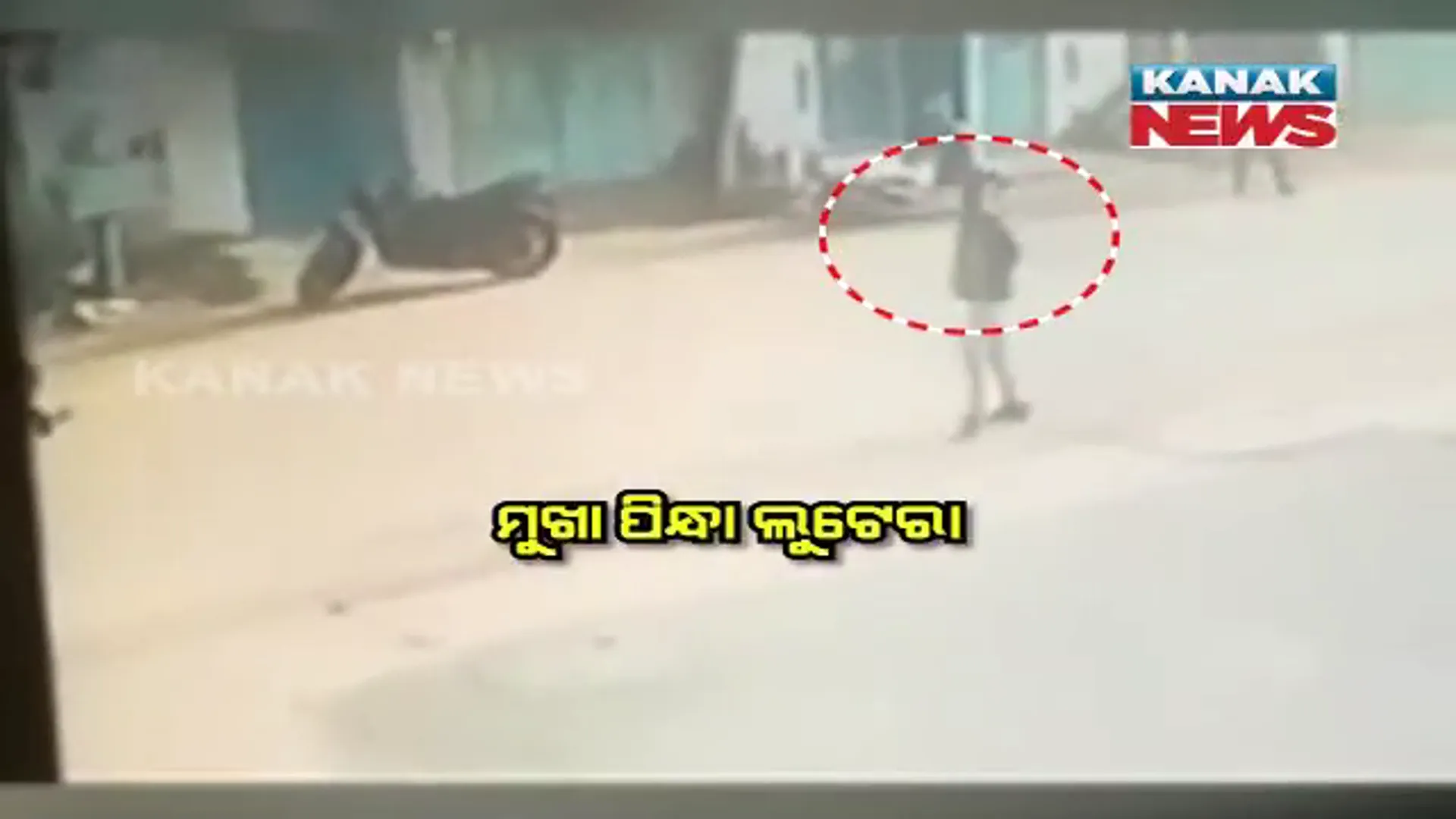 ରାଜଧାନୀରେ ଅଣନିଶ୍ୱାସୀ କଲେଣି ଲୁଟେରା : ଗହଣା ଦୋକାନରୁ ମୁଖାପିନ୍ଧା ଲୁଟେରା ଲୁଟିନେଲେ ୧୪ ଲକ୍ଷରୁ ଅଧିକ ଟଙ୍କାର ଗହଣା ବ୍ୟାଗ୍