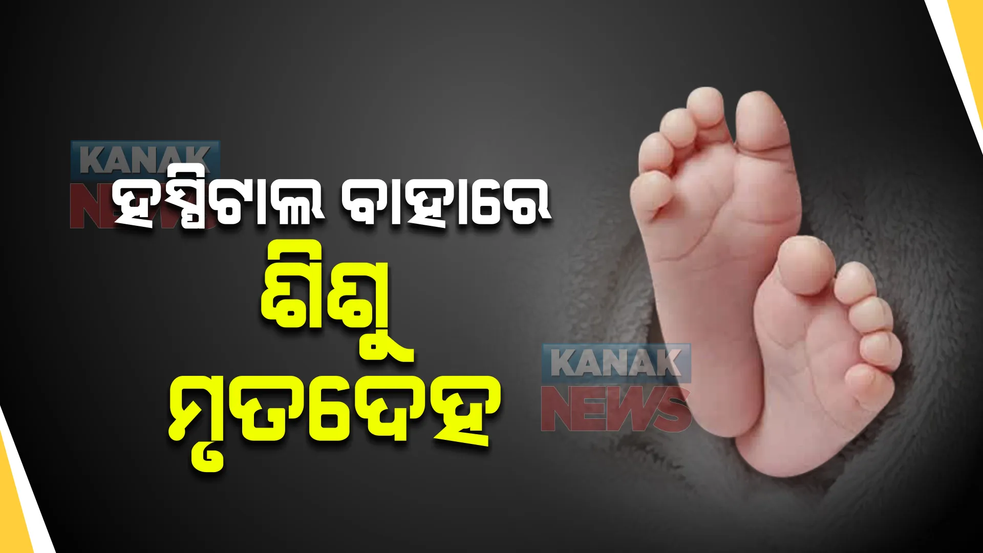 ବାଲେଶ୍ୱର ମୁଖ୍ୟ ଚିକିତ୍ସାଳୟ ପଛପଟେ ପଡିଛି ଏକାଧିକ ମୃତଦେହ । ବର୍ଷା ଯୋଗୁଁ ଶିଶୁଙ୍କ ମୃତଦେହ ଭାସି ଆସୁଥିବା ସନ୍ଦେହ