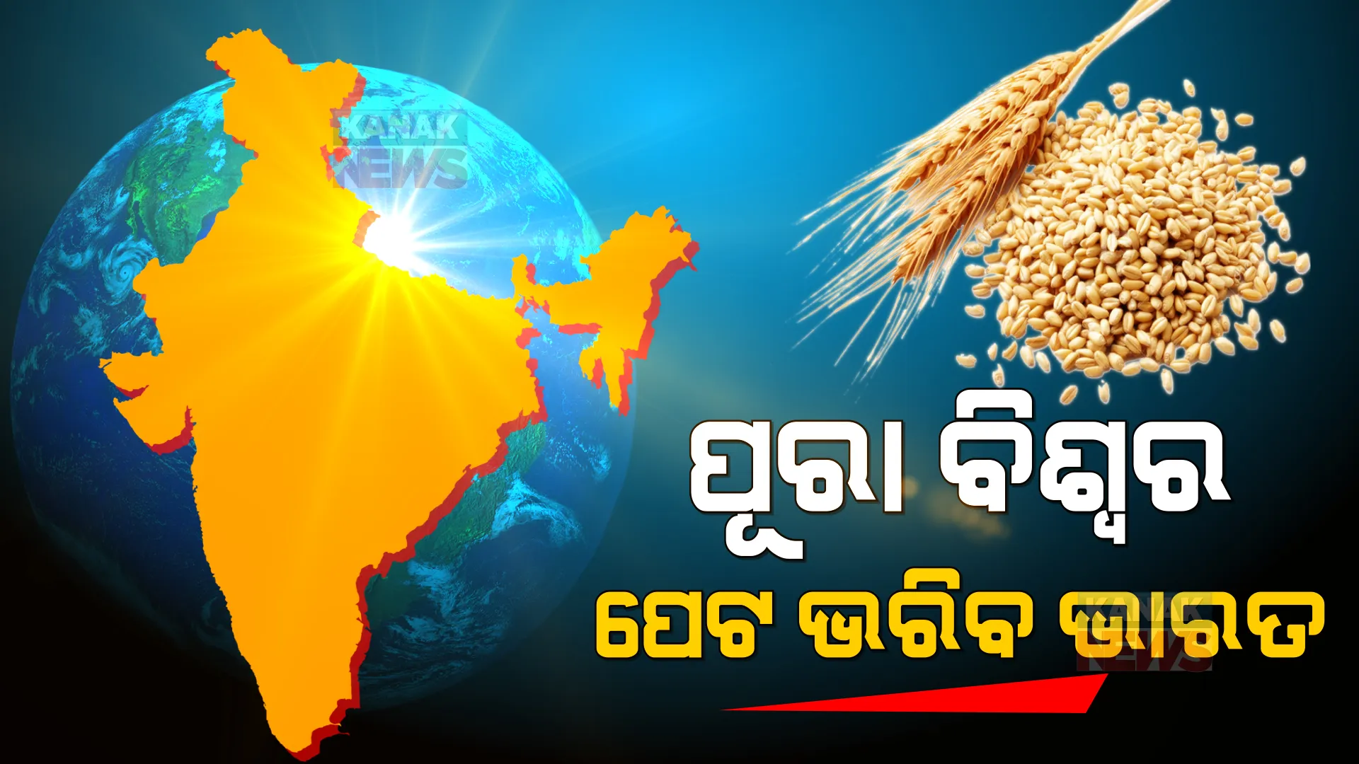 ଋଷ-ୟୁକ୍ରେନ ଯୁଦ୍ଧର ପ୍ରଭାବ । ପୂରା ବିଶ୍ୱର ପେଟ ଭରିବ ଭାରତ, ଗହମ ନେବାକୁ ବିଭିନ୍ନ ଦେଶ ଲଗାଇଛନ୍ତି ଲାଇନ୍ । 