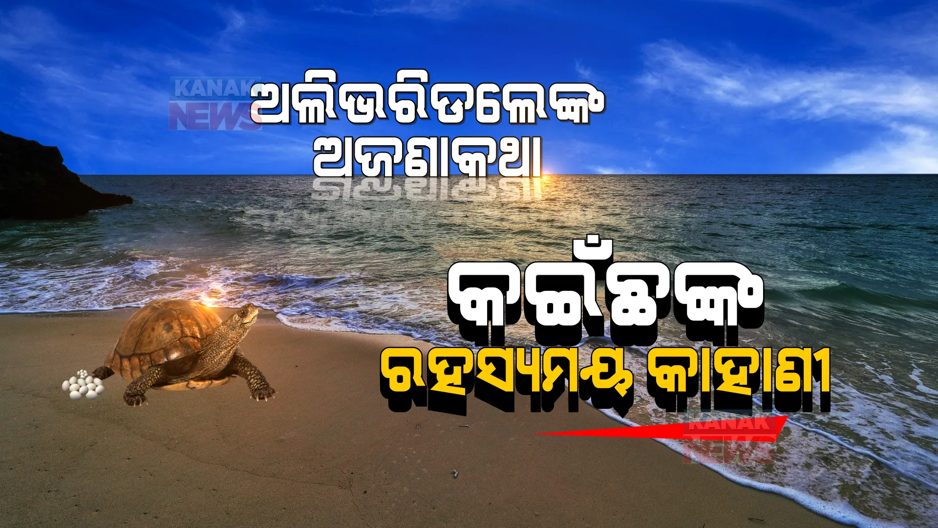 ଗହୀରମଥାକୁ କାହିଁକି ଆସନ୍ତି ଅଲିଭରିଡଲେ ? କେଉଁ କେଉଁ ଦେଶରୁ ଆସନ୍ତି କଇଁଛ ? ପଢନ୍ତୁ ଅଲିଭରିଡଲେଙ୍କୁ ନେଇ ଅଜଣାକଥା...