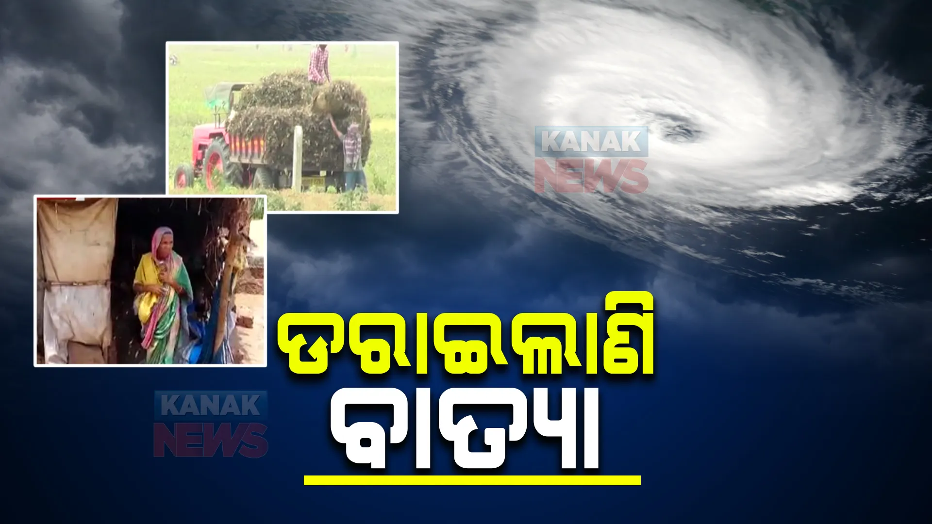 ସମ୍ଭାବ୍ୟ ବାତ୍ୟା ଖବର ଶୁଣି ଚାଷୀ ମୁଣ୍ଡରେ ଚଡକ । ଝଡ-ବର୍ଷାକୁ ଭୟ କରି ବିଲରୁ କଞ୍ଚା ମୁଗ ଓ ଦରପାଚିଲା ଧାନ ଅମଳ କରୁଛି ଚଷା ପୁଅ