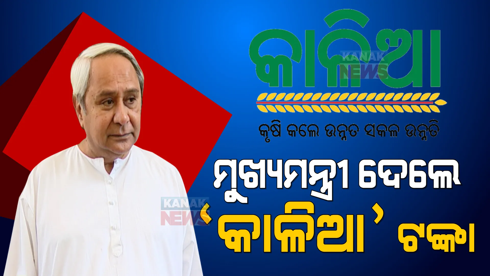 ଚାଷୀଙ୍କ ଆକାଉଣ୍ଟକୁ ଗଲା ‘କାଳିଆ’ ଟଙ୍କା । ଅକ୍ଷୟ ତୃତୀୟା ଅବସରରେ ଚାଷୀଙ୍କୁ ମୁଖ୍ୟମନ୍ତ୍ରୀଙ୍କ ସହାୟତା ।