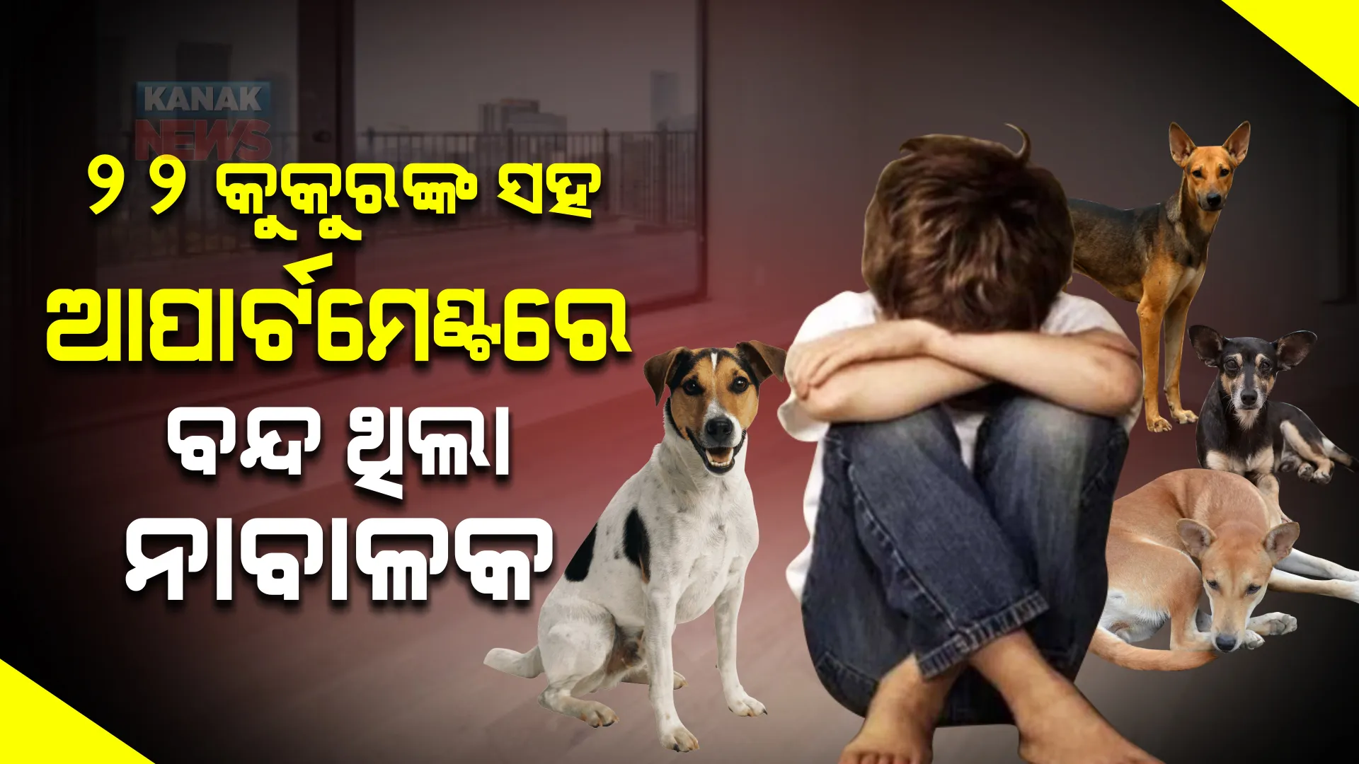 ୨୨ କୁକୁରଙ୍କ ସହ ଆପାର୍ଟମେଣ୍ଟରେ ୨ ବର୍ଷ ବନ୍ଦ ଥିଲା ନାବାଳକ । ଉଦ୍ଧାର କଲା ସ୍ୱେଚ୍ଛାସେବୀ ସଙ୍ଗଠନ