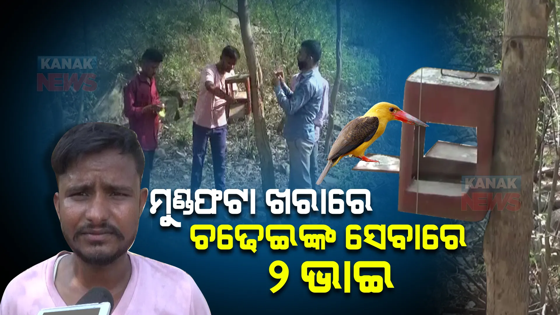 ପାହାଡ ଚଢୁଛନ୍ତି, ପକ୍ଷୀଙ୍କୁ ପାଣି ପିଆଉଛନ୍ତି । ଦୀର୍ଘ ୫ ବର୍ଷ ହେବ ଚଢେଇଙ୍କ ସେବା ଓ ସୁରକ୍ଷାରେ ଲାଗିଛନ୍ତି ୨ ଭାଇ ।