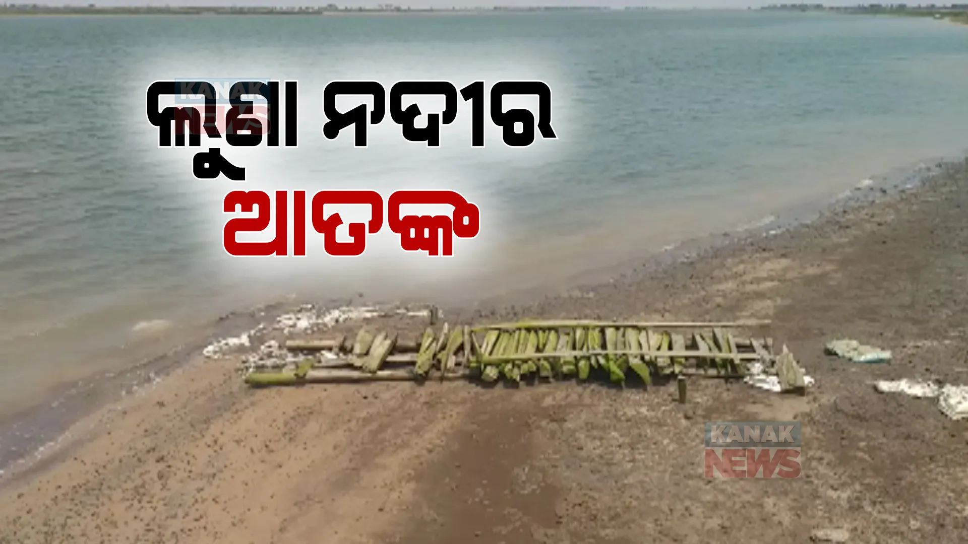ମହାକାଳପଡାରେ ଲୁଣା ନଦୀର ଆତଙ୍କ । ଜୁଆର ମାଡି ଆସୁଛି, ଚାଷ ଜମି ଖାଉଛି ।