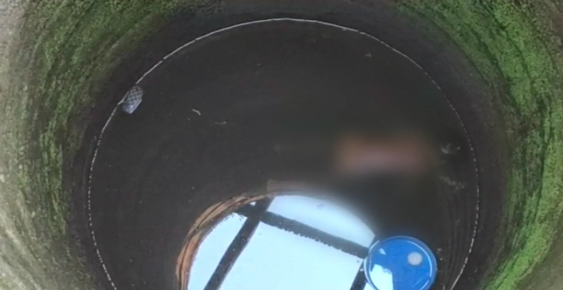 ୩ ଛୁଆଙ୍କୁ ମାରି କୂଅରେ ଫିଙ୍ଗିଦେଲା ମଦୁଆ ବାପା । ମୃତକଙ୍କ ମଧ୍ୟରେ ଥିଲା ଜଣେ ୨ମାସର ଶିଶୁକନ୍ୟା