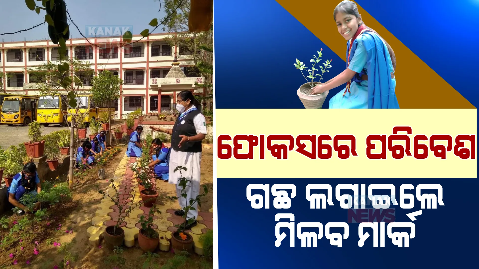 ଗଛ ଲଗାଇଲେ ପିଲାଙ୍କୁ ପରୀକ୍ଷାରେ ମିଳିବ ମାର୍କ। ଗଞ୍ଜାମ ଜିଲ୍ଲା ପ୍ରଶାସନର ନିଆରା ପଦକ୍ଷେପ।