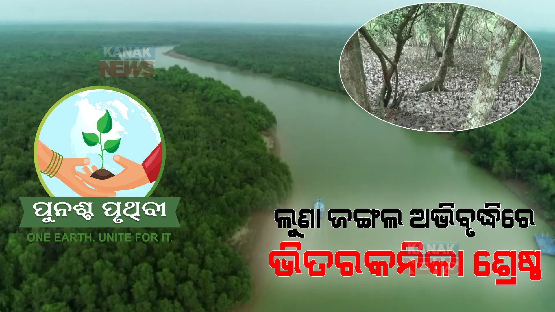 ଲୁଣା ଜଙ୍ଗଲ ଅଭିବୃଦ୍ଧିରେ ଭିତରକନିକା ଶ୍ରେଷ୍ଠ। ୨ ବର୍ଷରେ ସୃଷ୍ଟି ହୋଇଛି ୭.୭୬ ବର୍ଗ କିଲୋମିଟର ଜଙ୍ଗଲ।