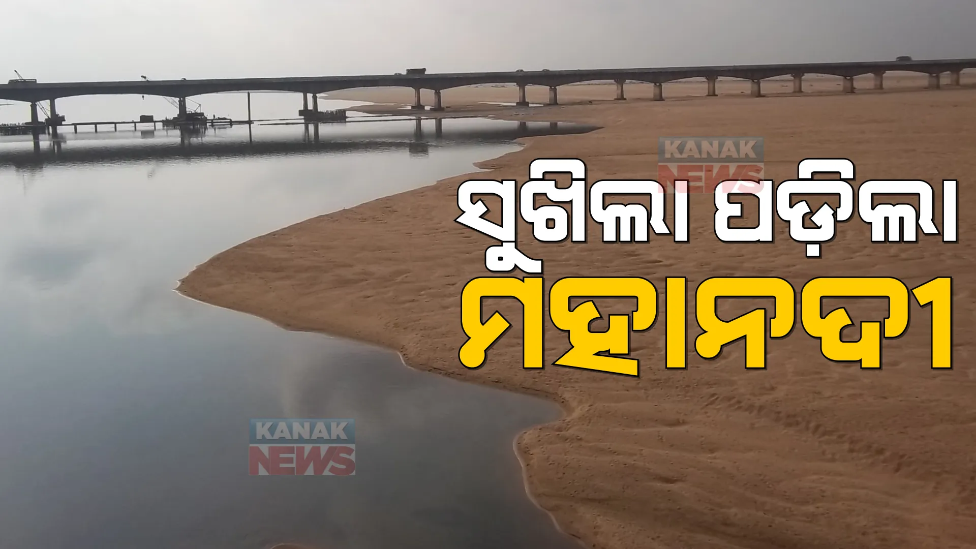 ବନ୍ୟା ଆସିବାର ସପ୍ତାହ ନପୁରୁଣୁ ସୁଖିଲା ପଡ଼ିଲା ମହାନଦୀ । ଦେଖାଗଲା ବିସ୍ତିର୍ଣ୍ଣ ବାଲୁକା ଶଯ୍ୟା