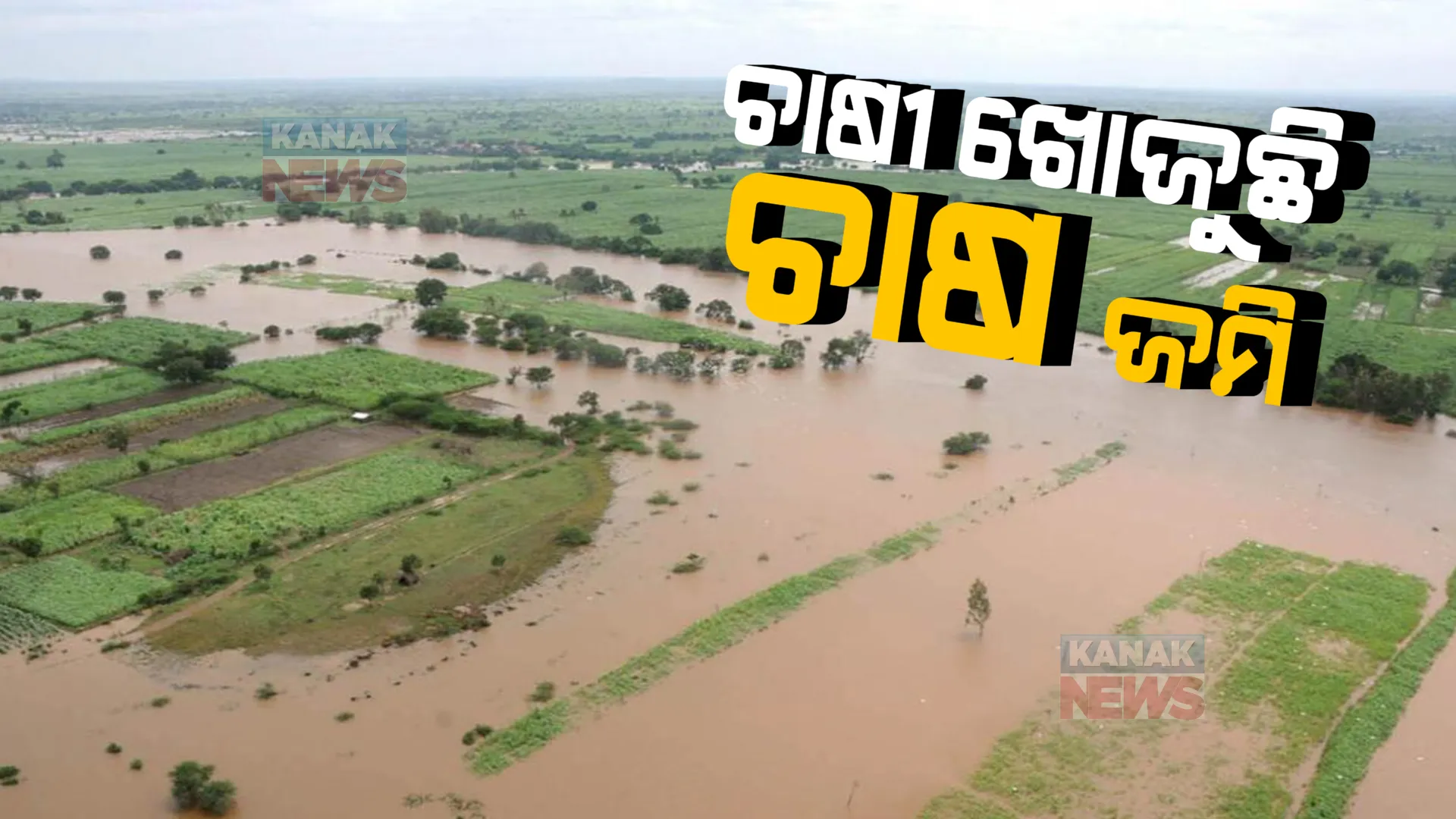 ବନ୍ୟା ଛାଡ଼ିଛି, ଦୁର୍ଦ୍ଦଶା ବଢ଼ିଛି : ବିଲରେ ୨ ଫୁଟର ବାଲି ଜମିବା ପରେ ନିଜ ଚାଷ ଜମିକୁ ଖୋଜୁଛି ଚାଷୀ