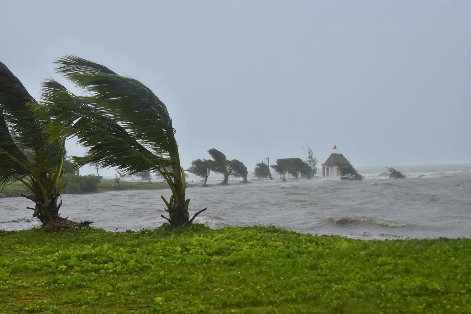 ବାତ୍ୟାକୁ ନେଇ ଲାଗି ରହିଛି ଅନିଶ୍ଚିତତା । ମତ ବଦଳାଉଛି ଆମେରିକୀୟ ପାଣିପାଗ ମଡେଲ ଜିଏଫଏସ । ସ୍କାଏ-ମେଟ୍ କହିଲା, ଏବେଠୁ ବାତ୍ୟା ହେବ କି ନାହିଁ କହିବା ଅସମ୍ଭବ  