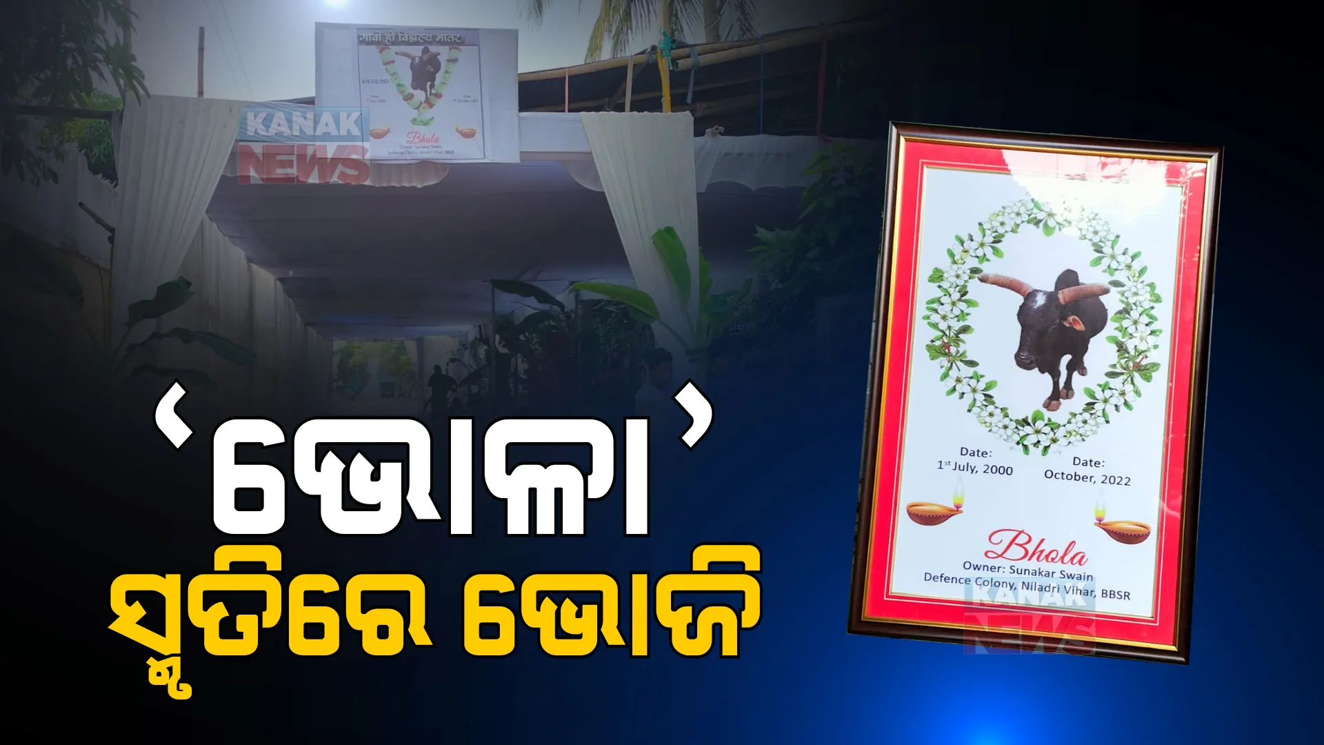 ଭୋଳା ପାଇଁ ଭୋଜି । ଷଣ୍ଢର ଏକାଦଶାହରେ ସ୍ୱତନ୍ତ୍ର ଆୟୋଜନ । ଆୟୋଜନ ହେଲା ଭୋଜିଭାତ