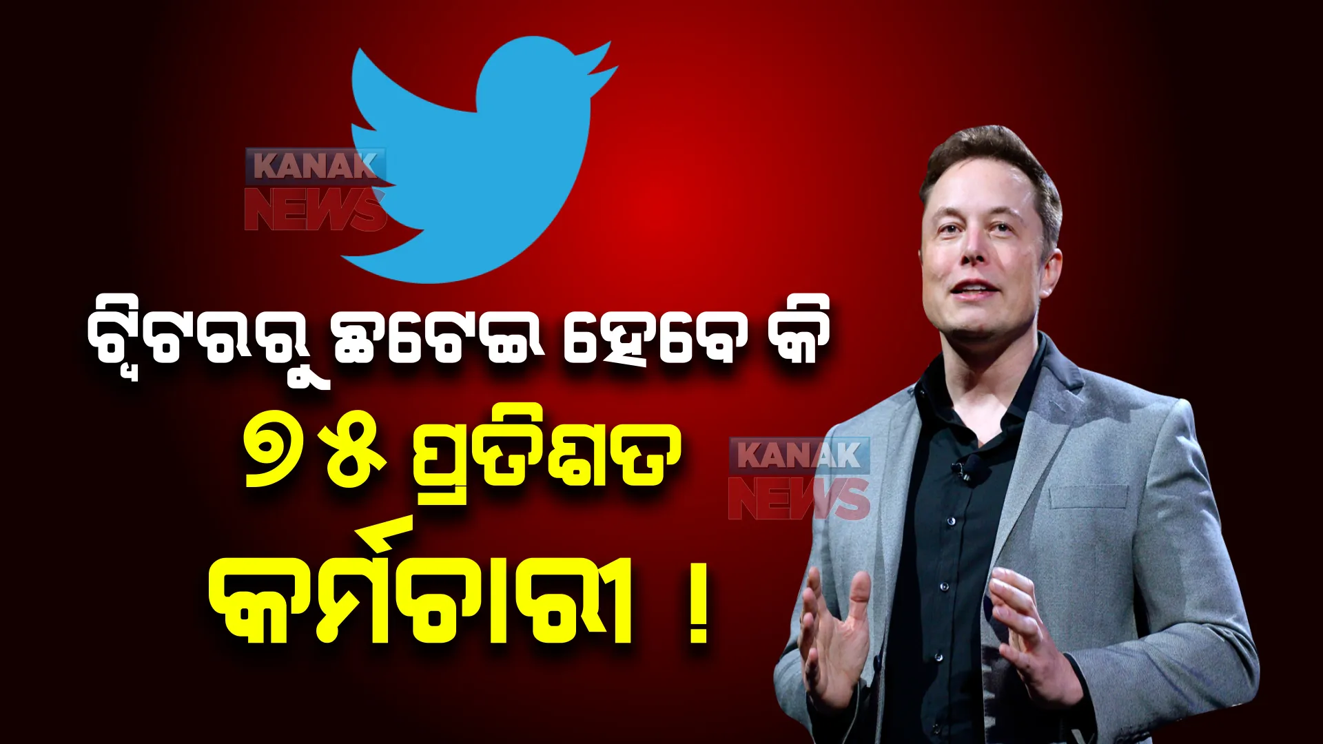 ଏଲନ ମସ୍କଙ୍କ ପ୍ରବେଶରେ ଟ୍ୱିଟର କର୍ମଚାରୀଙ୍କ ଚାକିରି ପ୍ରତି ବଢିବ ବିପଦ, ହୋଇପାରେ ବହୁସଂଖ୍ୟାର କର୍ମଚାରୀଙ୍କ ଛଟେଇ