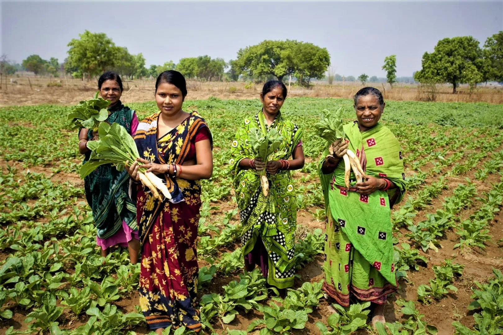 ଝାରସୁଗୁଡାରେ କୃଷକଙ୍କ ରୋଜଗାରକୁ ବଳ ଯୋଗାଉଛି ବେଦାନ୍ତ ଆଲୁମିନିୟମ, ଜୀବିକା ସମୃଦ୍ଧି ପ୍ରକଳ୍ପ ପାଇଁ କୃଷକଙ୍କ ଆୟରେ ୫୦% ବୃଦ୍ଧି ।
