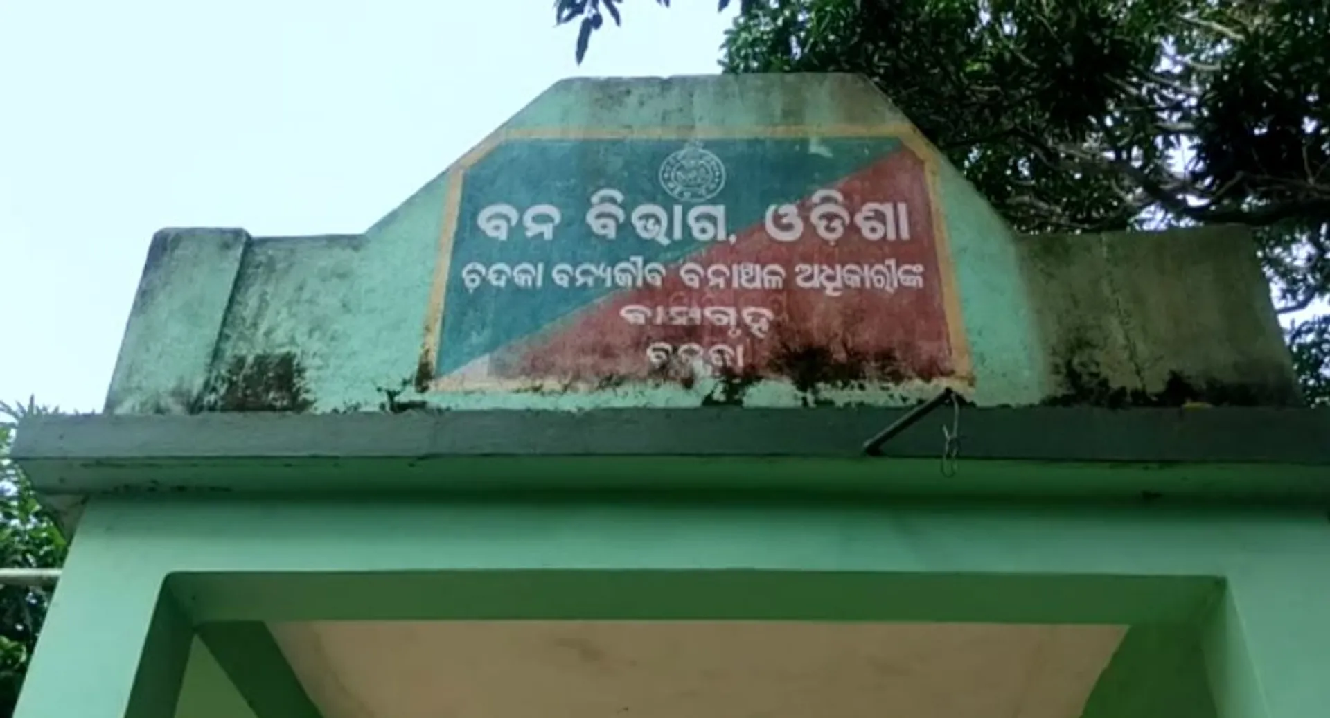 ନନ୍ଦନକାନନ ପାଚେରୀ ନିକଟରେ ଜଙ୍ଗଲୀ ହାତୀ ପଲ । ନଜର ରଖିଛି ବନବିଭାଗ