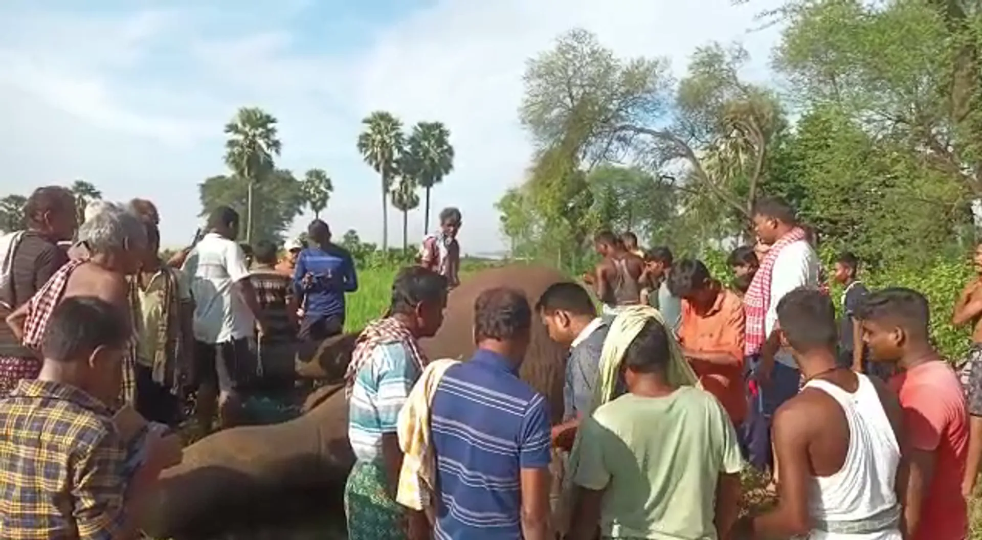 ଢ଼େଙ୍କାନାଳ ବନଖଣ୍ଡ ଭୁବନର ଚାଷଜମିରେ ପଡ଼ିଛି ଦନ୍ତା ହାତୀର ମୃତଦେହ : ବିଦ୍ୟୁତ ଆଘାତରେ ମୃତ୍ୟୁ ହୋଇଥିବା ସନ୍ଦେହ