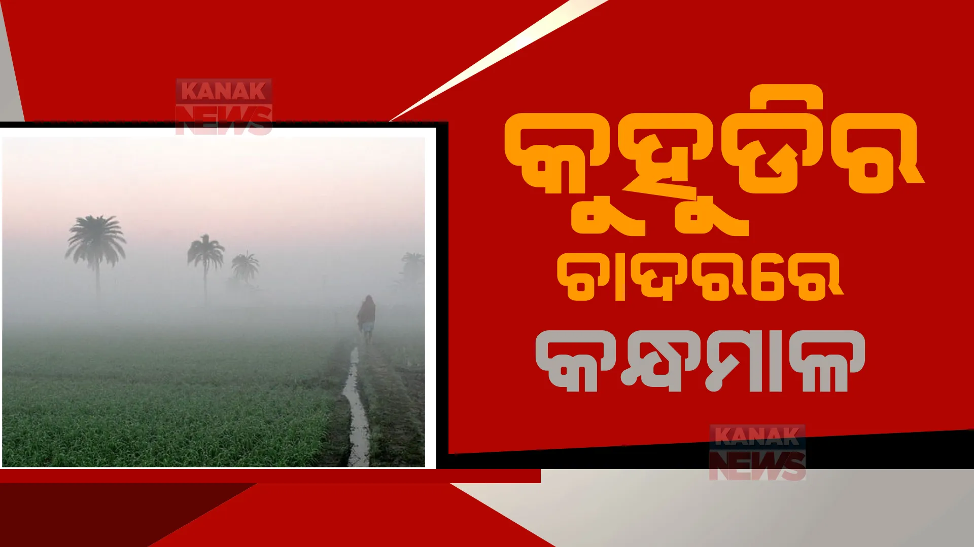 କନ୍ଧମାଳରେ ଶୀତ ଲହରୀ। ସକାଳୁ ସକାଳୁ କୁହୁଡିର ଆସ୍ତରଣ।