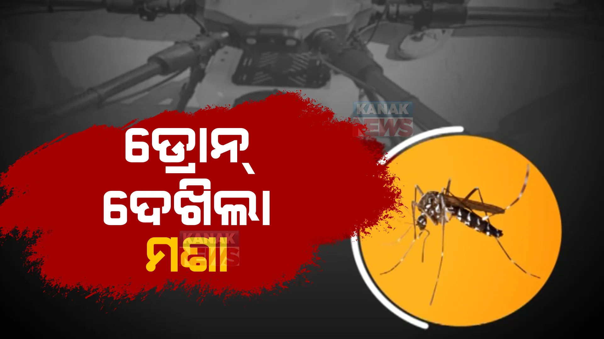 ରାଜଧାନୀରେ ମଶା ଉପଦ୍ରବ। ଉତ୍ପତିସ୍ଥଳ ସର୍ବେକ୍ଷଣ ପାଇଁ ଉଡ଼ିଲା ଡ୍ରୋନ୍।