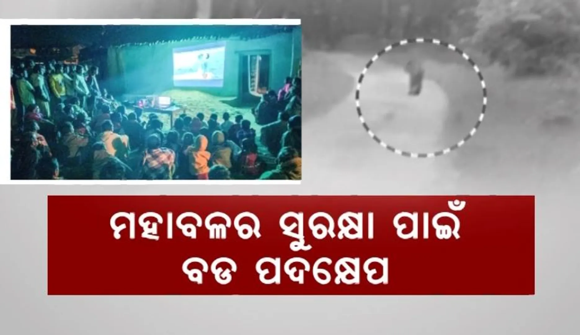 ଡେବ୍ରିଗଡରେ ପୁଣି ଦେଖାଦେଲା ମହାବଳ। ୨୪ ଘଂଟିଆ ନଜର ରଖିଛି ବନବିଭାଗ।