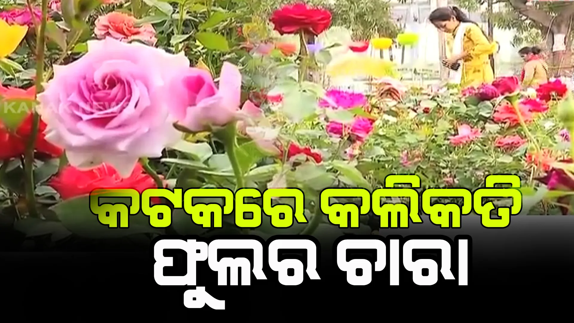 କଟକରେ କଲିକତା ଫୁଲଚାରାର ସମ୍ଭାର। ଦେଶୀ ଓ ବିଦେଶୀ ଫୁଲ କିଣିବାକୁ ଗ୍ରାହକଙ୍କ ଜମୁଛି ଭିଡ଼।