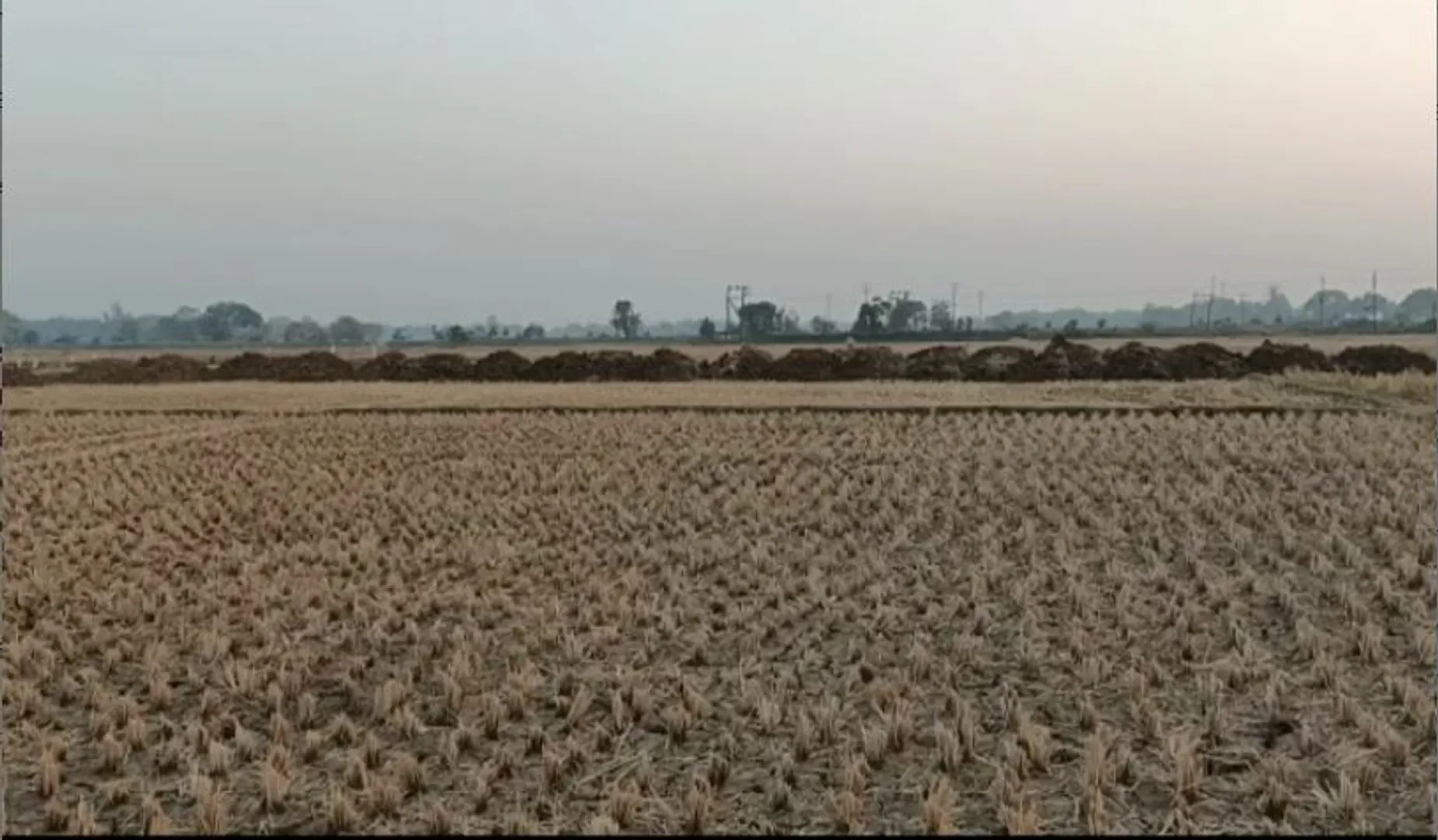 ବାଲେଶ୍ୱର ବସ୍ତା ଅଞ୍ଚଳରେ ମେସିନ୍ କରୁଛି ମନରେଗା ରାସ୍ତାକାମ। ଲୋକଙ୍କୁ ମିଳୁନି କାମ।