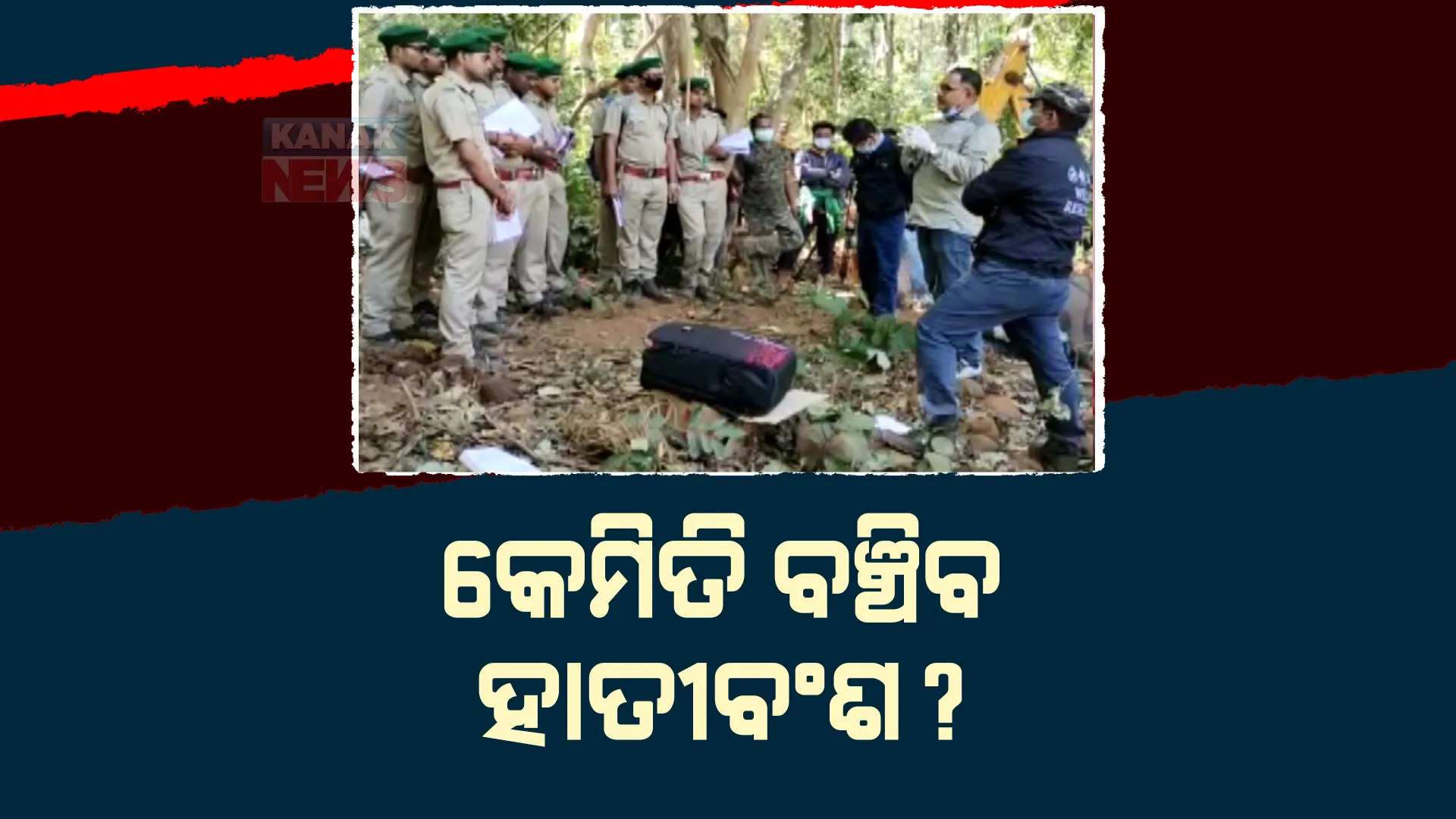 ହାତୀଙ୍କ ସୁରକ୍ଷାକୁ ନେଇ ଜଙ୍ଗଲରେ ଚାଲିଛି ପ୍ରଶିକ୍ଷଣ। କେନ୍ଦୁଝର ବନଖଣ୍ଡ ତେଲକୋଇ ବନାଞ୍ଚଳରେ ତାଲିମ ନେଉଛନ୍ତି ଫରେଷ୍ଟଗାର୍ଡ।