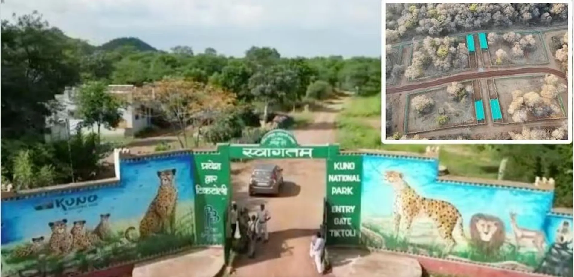 କୁନୋରେ ପ୍ରସ୍ତୁତ ହେଲା କ୍ୱାରେଣ୍ଟିନ ଖୁଆଡ, ଫେବ୍ରୁଆରୀ ଶେଷ ସପ୍ତାହରେ ଦକ୍ଷିଣ ଆଫ୍ରିକାରୁ ଆସିବେ ୧୨ ଚିତା!