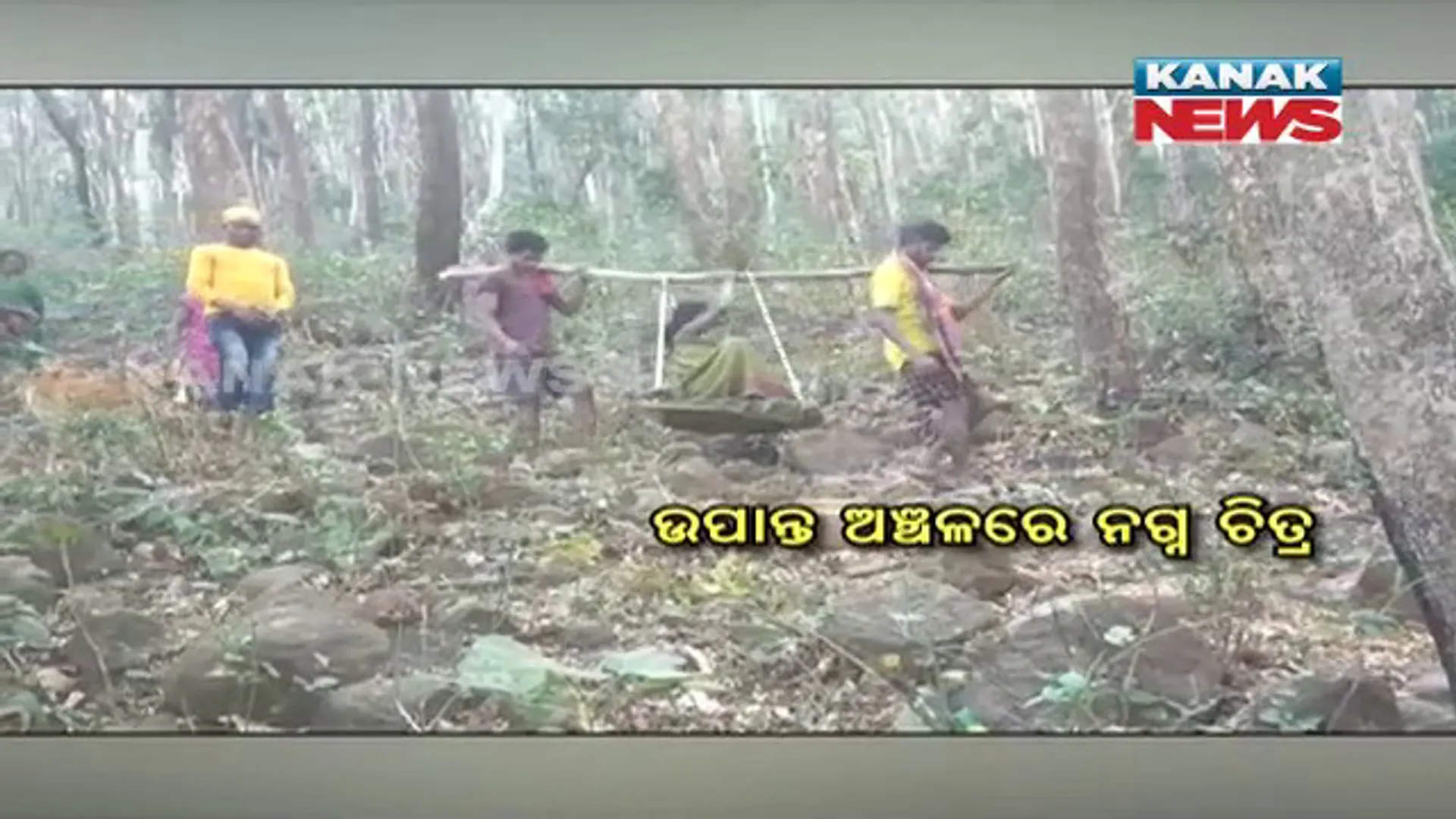 ଜୟପୁର ରାମଗଡ଼ ଗାଁରୁ ଆସିଲା ଅଭାବନୀୟ ଚିତ୍ର। ରାସ୍ତା ନଥିବାରୁ ଭାରରେ ବୁହା ହେଲେ ଗର୍ଭବତୀ।