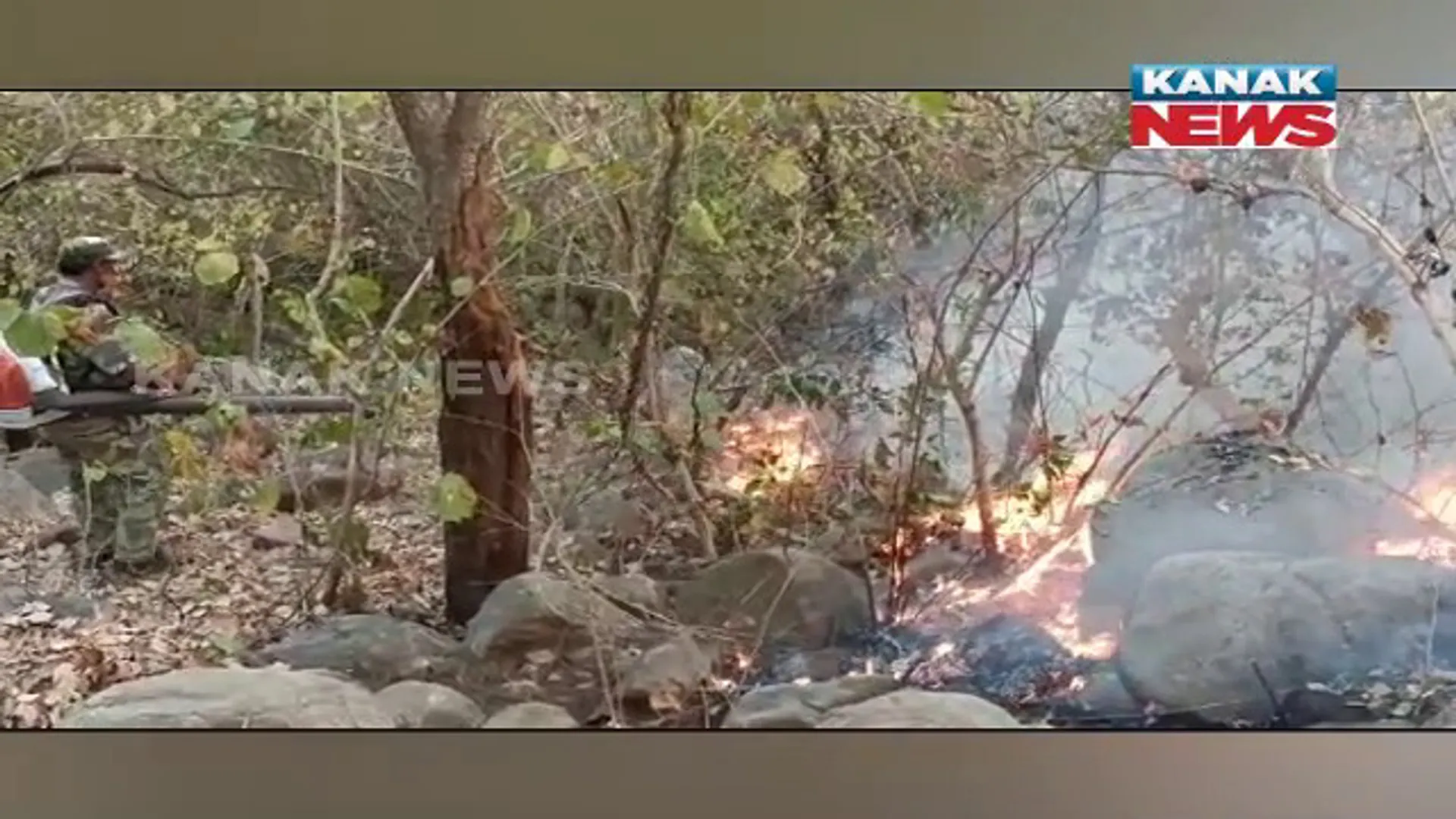 ଜଳୁଛି କୁଳଡିହା ଅଭୟାରଣ୍ୟ। ୧୫ରୁ ୨୦ ଏକର ଜଙ୍ଗଲରେ ଲାଗିଛି ନିଆଁ।