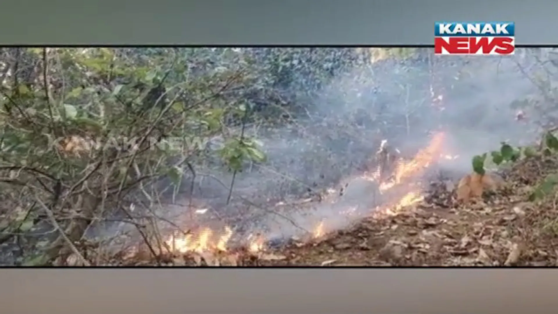 ତାଳସାହି ପାହାଡରେ ନିଆଁ, ଆୟତ୍ତ ପାଇଁ ବନ ବିଭାଗର ଉଦ୍ୟମ ଜାରି