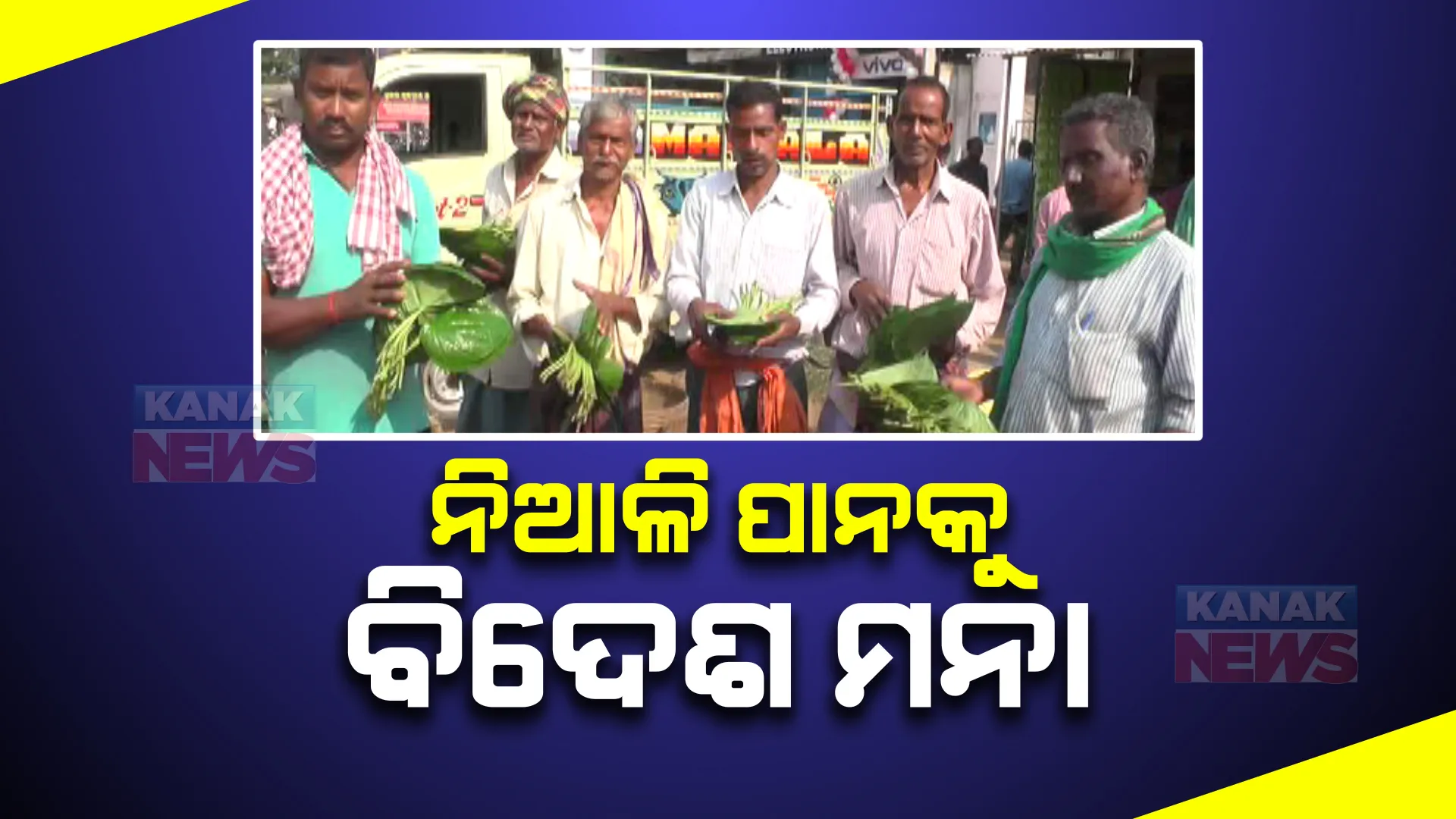 ବିଦେଶ ଯାଉନି ଓଡ଼ିଶାର ପାନ। ବଜାର ଅଭାବ ସହ ସରକାରଙ୍କ ଉଦାସୀନତା ଯୋଗୁ କ୍ଷତି ସହୁଛି ଚାଷୀ ।