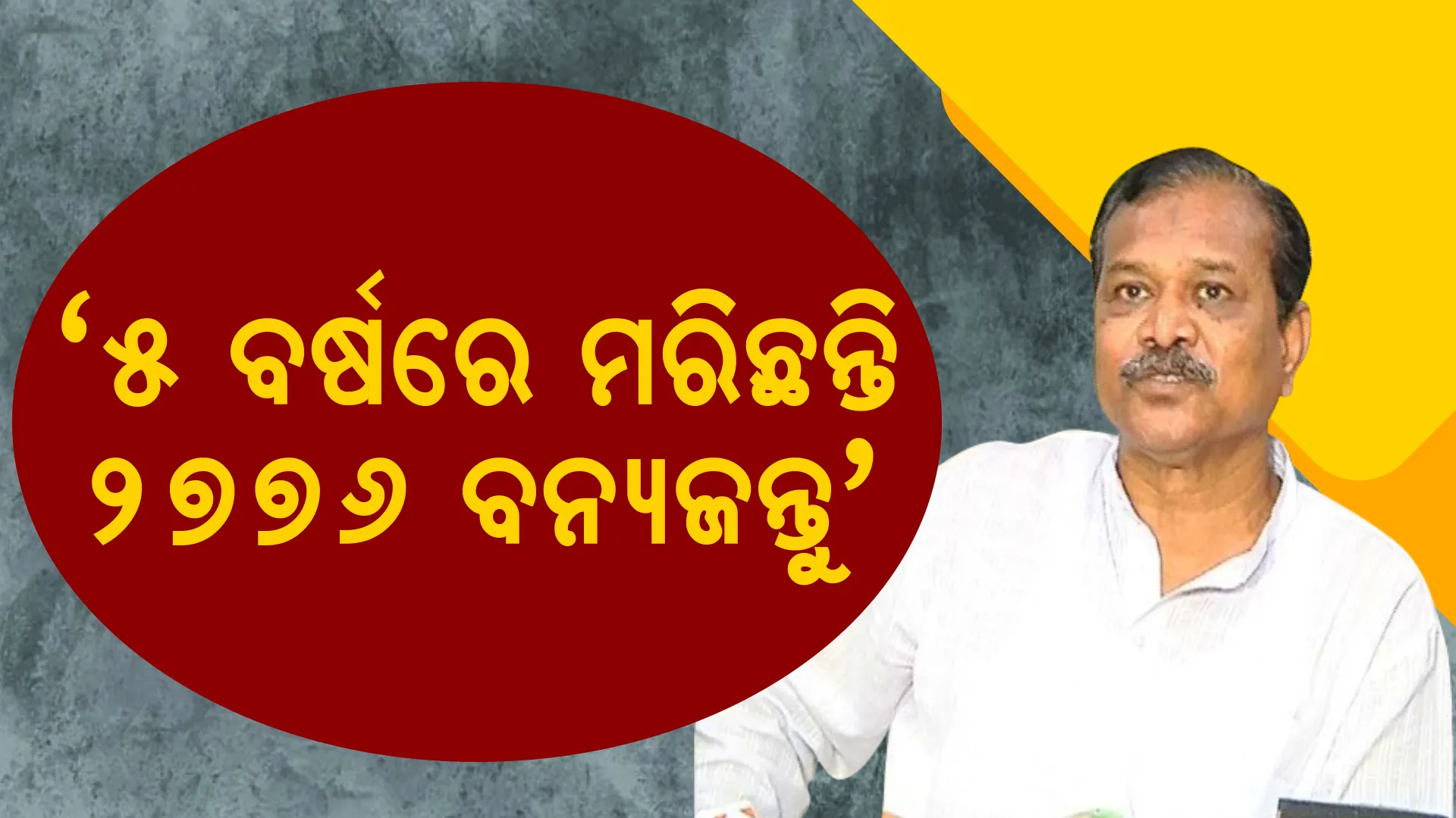 ହାତୀଙ୍କ ଉପଦ୍ରବରେ ଗତ ୫ ବର୍ଷରେ ଯାଇଛି ୬୬୯ ଜୀବନ । ବନ୍ୟପ୍ରାଣୀ ଜନିତ କ୍ଷୟକ୍ଷତି ପାଇଁ ମିଳିଛି ୧୦୦ କୋଟିରୁ ଅଧିକ ଟଙ୍କାର ଅନୁକମ୍ପା ରାଶି । ଗୃହରେ ଉତ୍ତର ରଖିଲେ ମନ୍ତ୍ରୀ ।