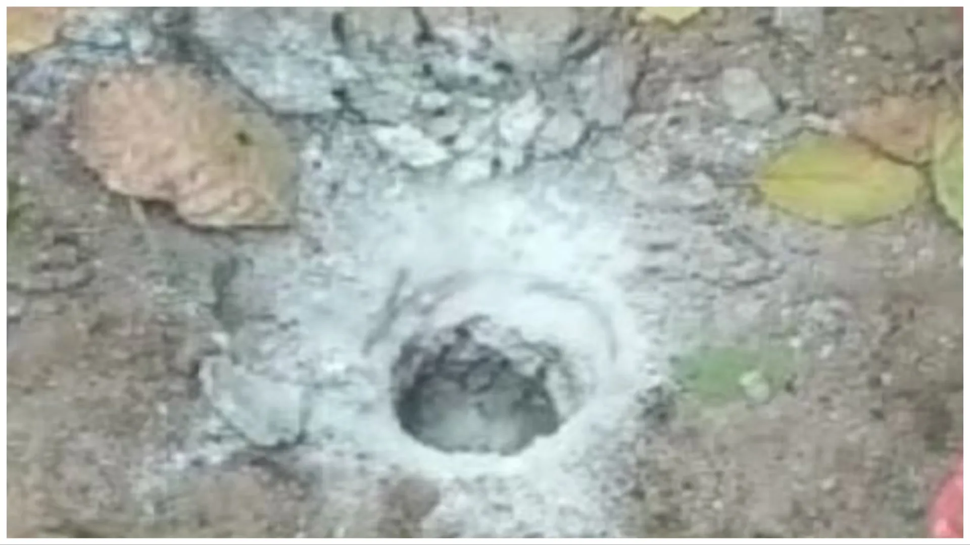 ତୋପର ଗୋଳା ନେଲା ୩ ଜୀବନ। ବିହାର ଗୟାରୁ ଆସିଲା ଦୁଃଖଦ ଖବର ।