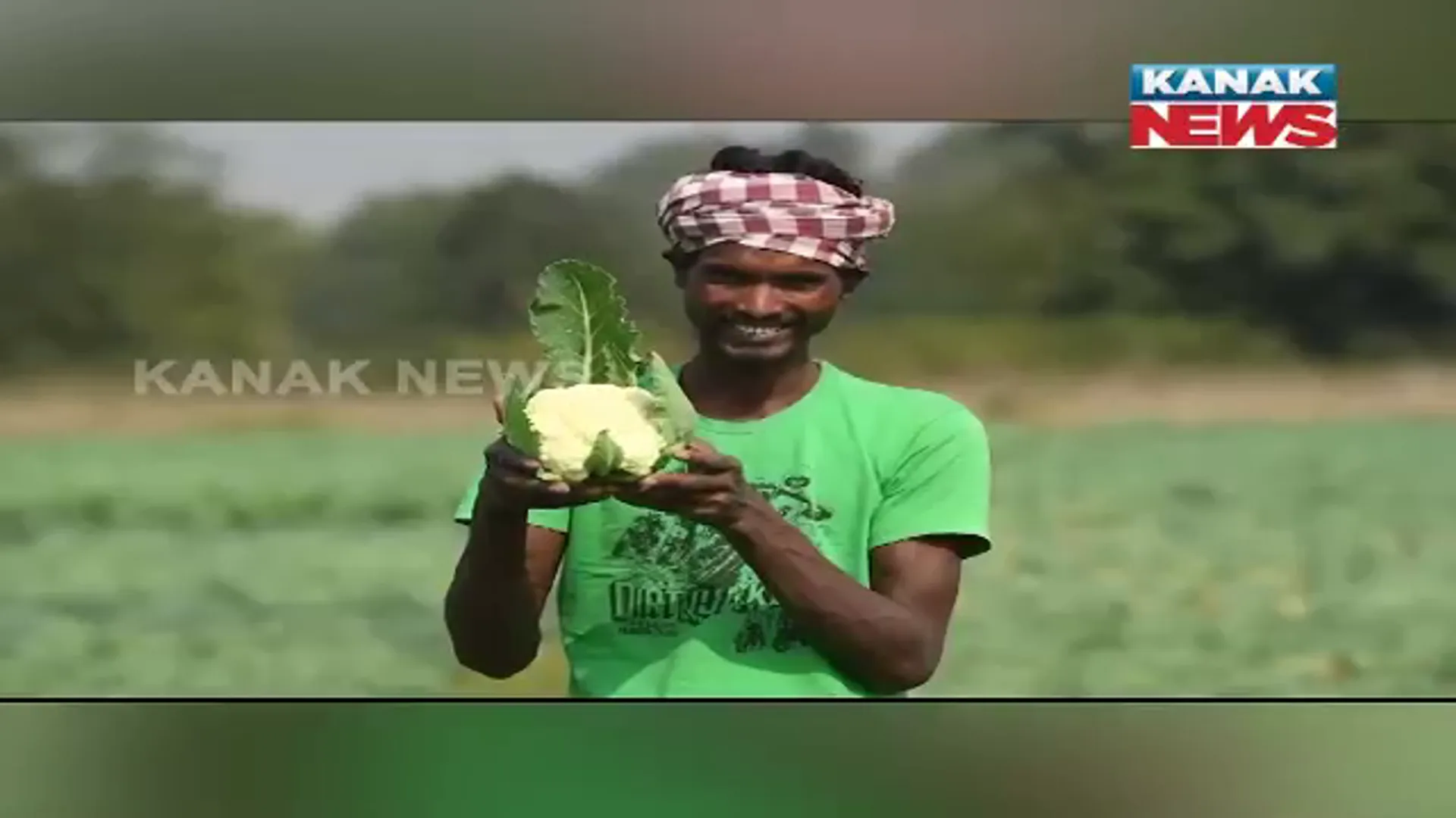 ଜୈବିକ ପଦ୍ଧତିରେ ଫୁଲକୋବି ଚାଷ କରି ଲାଭବାନ ହେଉଛନ୍ତି ସୁନ୍ଦରଗଡ଼ର ଚାଷୀ। ଆଇଟିଡିଏ ପକ୍ଷରୁ ମିଳୁଛି ପ୍ରୋତ୍ସାହନ।