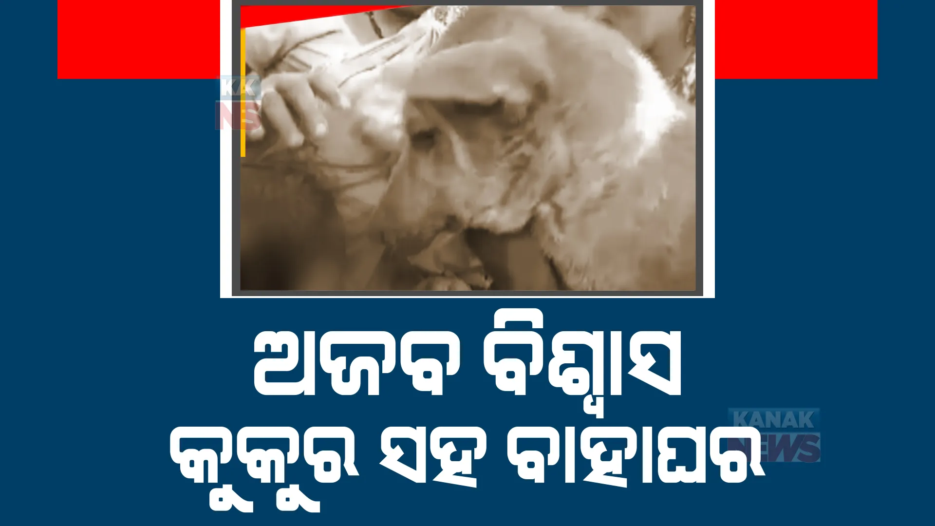 କୁକୁର ସହ ବାହା ଦେଲେ ହୁଏ ରିଷ୍ଟ ଖଣ୍ଡନ। ବାଲେଶ୍ୱର ସୋରରେ କୁନି କୁନି ପିଲାଙ୍କୁ କୁକୁର ସହ ବିବାହ କରାଇଲେ ପରିବାର ଲୋକ ।