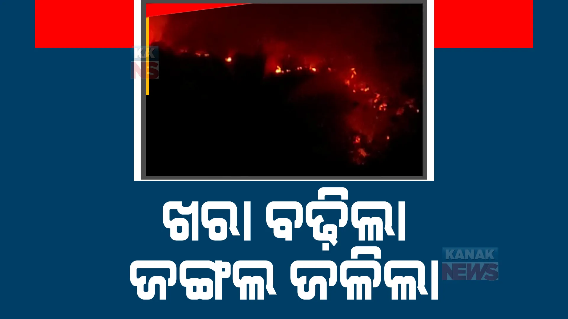 ଶିମିଳପାଳ ଜଙ୍ଗଲରେ ଅଣାୟତ ନିଆଁ। ୧୩ ଜିଲ୍ଲାରେ ଥିବା ବିଭିନ୍ନ ଜଙ୍ଗଲରେ ଲାଗିଛି ନିଆଁ।