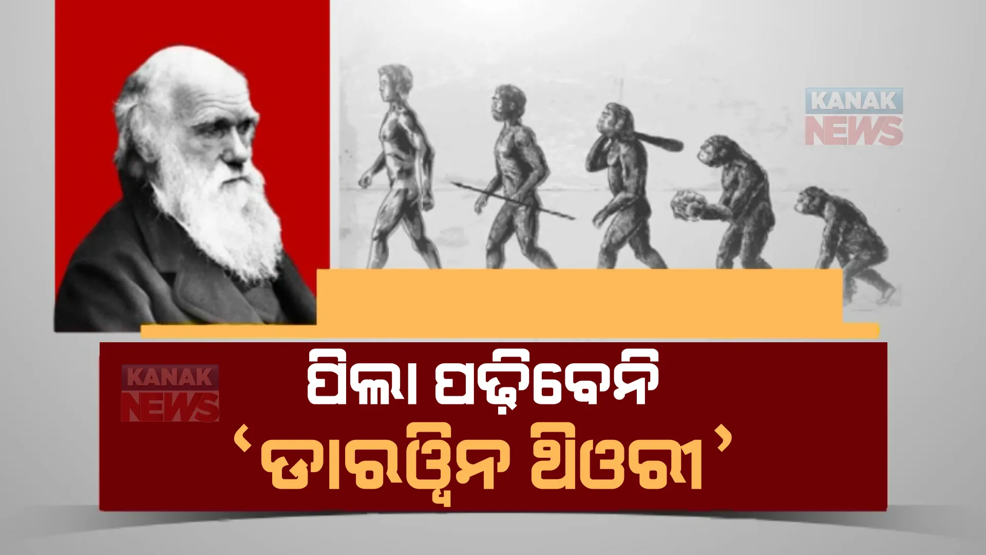 ପୁଣି ବିବାଦରେ ଏନସିଇଆରଟି। ବିଜ୍ଞାନ ସିଲାବସରୁ ହଟିଲା ଡରୱିନ ତତ୍ତ୍ୱ।
