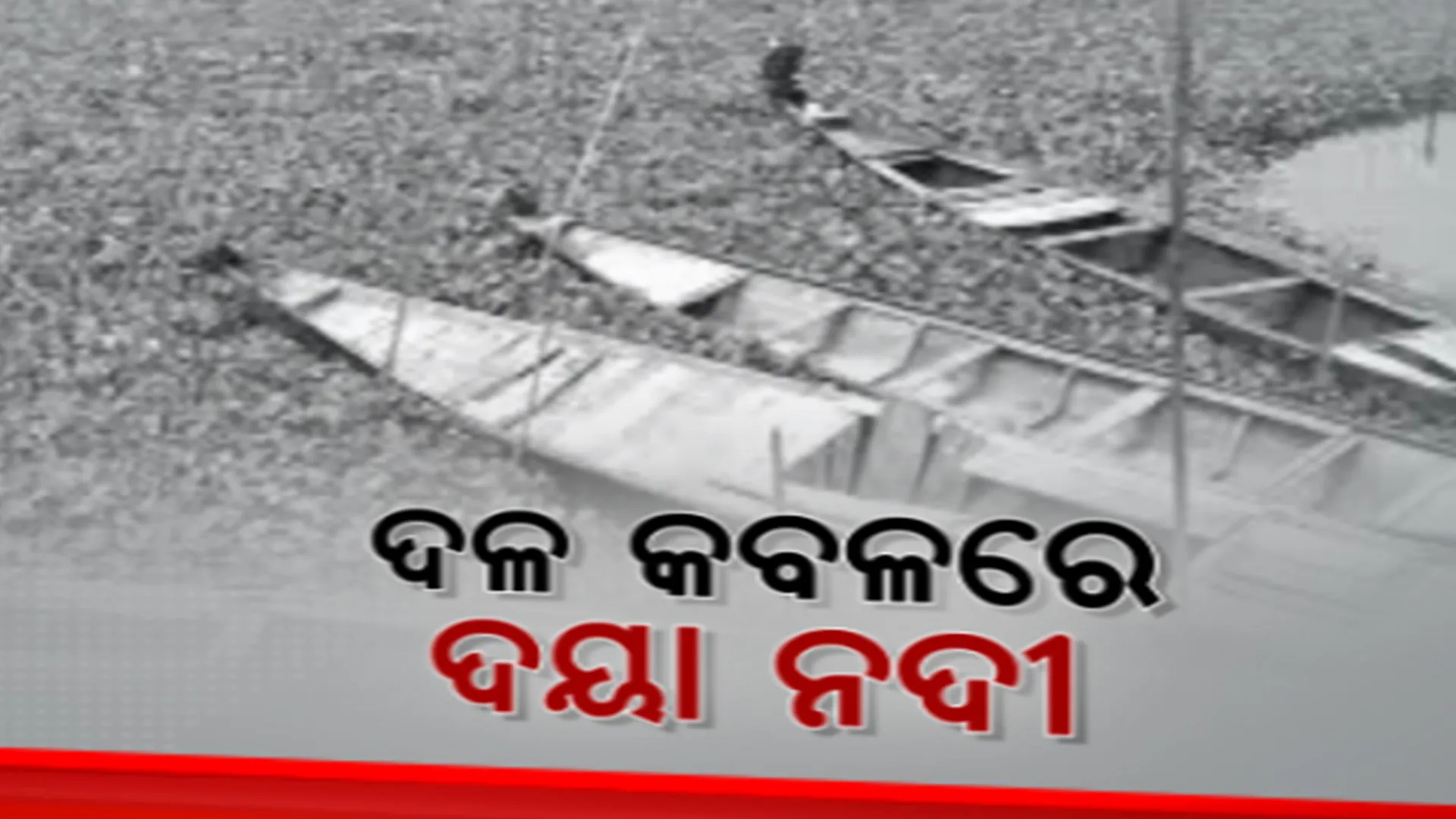 ଦଳରେ ପୋତି ହେଲାଣି ଦୟା ନଦୀ। ନଷ୍ଟ ହେଉଛି ମାଛଧରା ଡଙ୍ଗା।