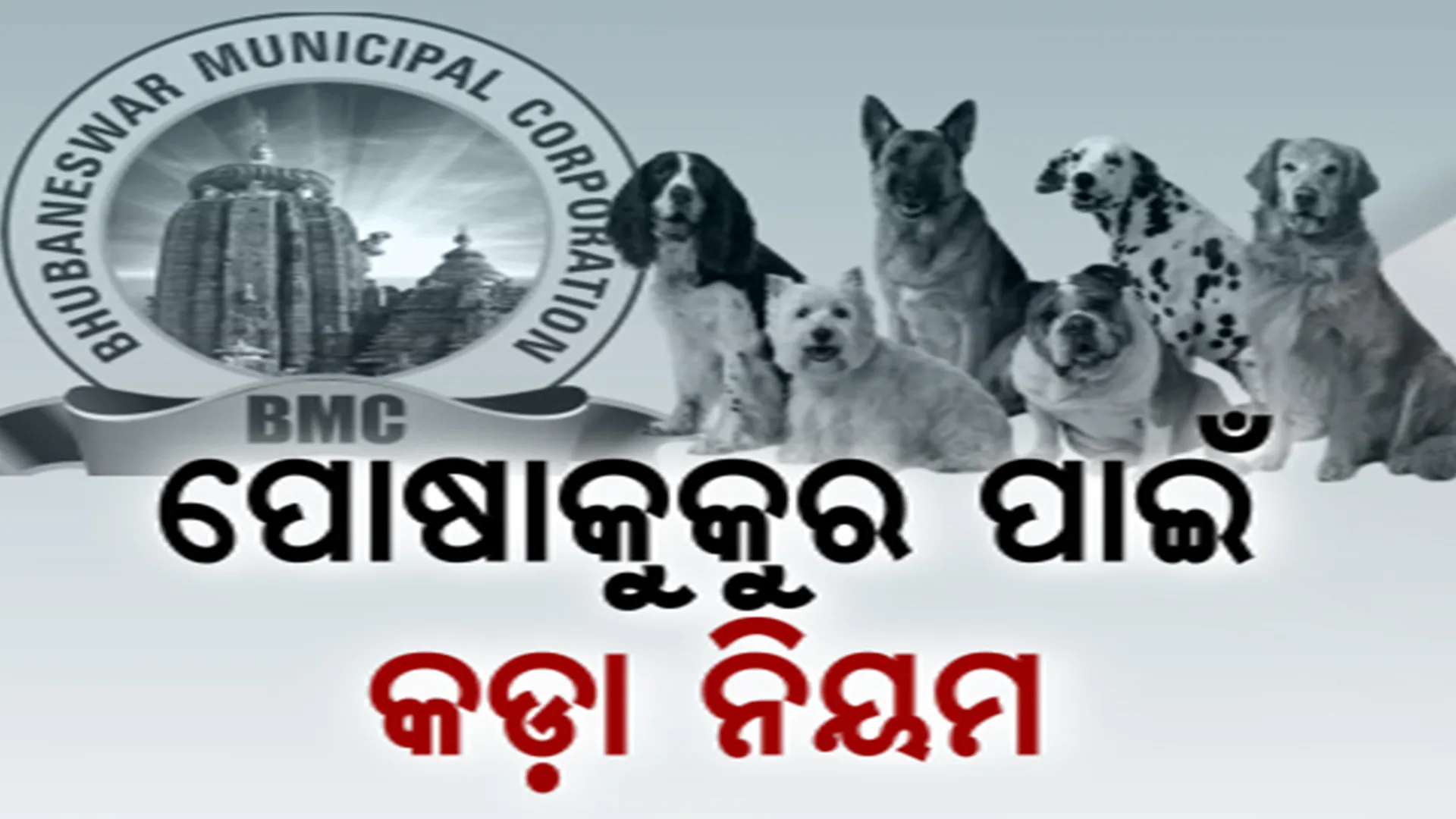 ପୋଷା କୁକୁରଙ୍କ ପାଇଁ ଆସିବ କଡା ନିୟମ। କାମୁଡ଼ିଲେ ସର୍ବାଧିକ ୧୦ହଜାର ଜରିମାନା!