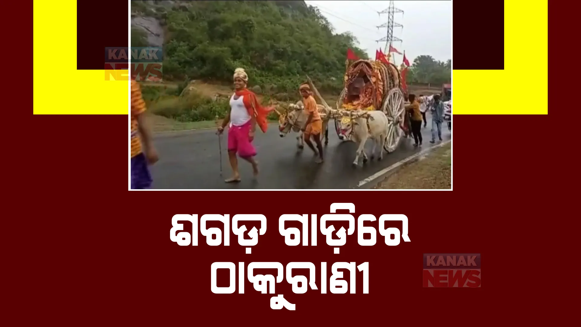 ଭଞ୍ଜନଗରରେ ଚାଲିଛି ଠାକୁରାଣୀ ଯାତ୍ରା। ବର୍ଷାରେ ଭିଜି ଶଗଡ଼ ଗାଡିରେ ଆସିଲେ ମା’ ବ୍ୟାଘ୍ର-ଦେବୀ।