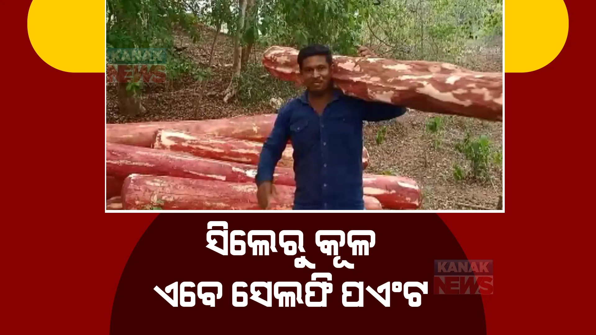 ସେଲଫି ପଏଣ୍ଟ ପାଲଟିଛି ପୁଷ୍ପା-ଟୁ’ର ସୁଟିଂ ସ୍ଥାନ। ରକ୍ତ ଚନ୍ଦନ କାଠ ଓ ପଥରର ଫଟୋ ଉଠାଇବା ସହ ସେଲଫିର ମଜା ନେଉଛନ୍ତି ଦର୍ଶକ