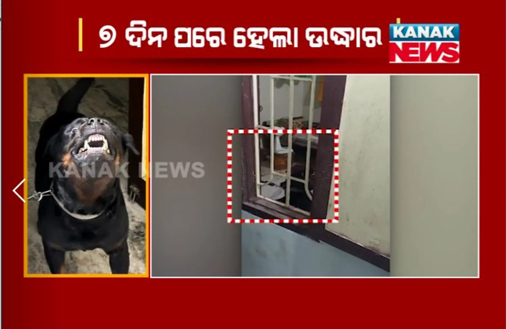 ଭୁବନେଶ୍ୱରରେ ବନ୍ଦ ଘରୁ ଉଦ୍ଧାର ହେଲା ପୋଷା କୁକୁର। ଶୈଳଶ୍ରୀ ବିହାର ଅଞ୍ଚଳରେ ୭ଦିନ ଧରି ଗୃହବନ୍ଦୀ ଥିଲା କୁକୁର।