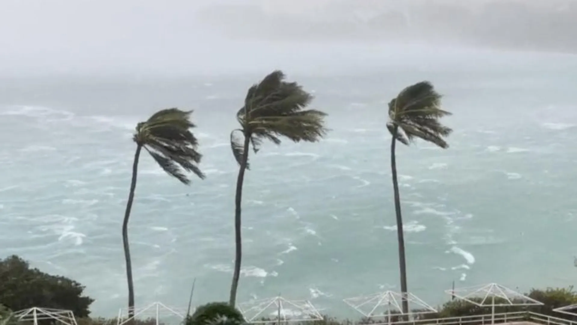 ତାଣ୍ଡବ ରଚୁଛି ସାମୁଦ୍ରିକ ଝଡ଼ ’ମାୱାର’, ଚିନ୍ତାରେ ଦ୍ୱୀପ ଦେଶ ଗୁଆମ