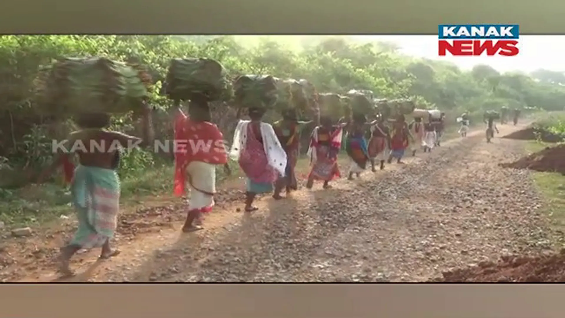 ଡଙ୍ଗରିଆ ମହିଳାଙ୍କୁ ରୋଜଗାର ଦେଉଛି ସିଆଳି ପତ୍ର। ବଣ ପାହାଡ଼ରୁ ସିଆଳି ପତ୍ର ସଂଗ୍ରହ କରି ବଜାରରେ କରୁଛନ୍ତି ବିକ୍ରି