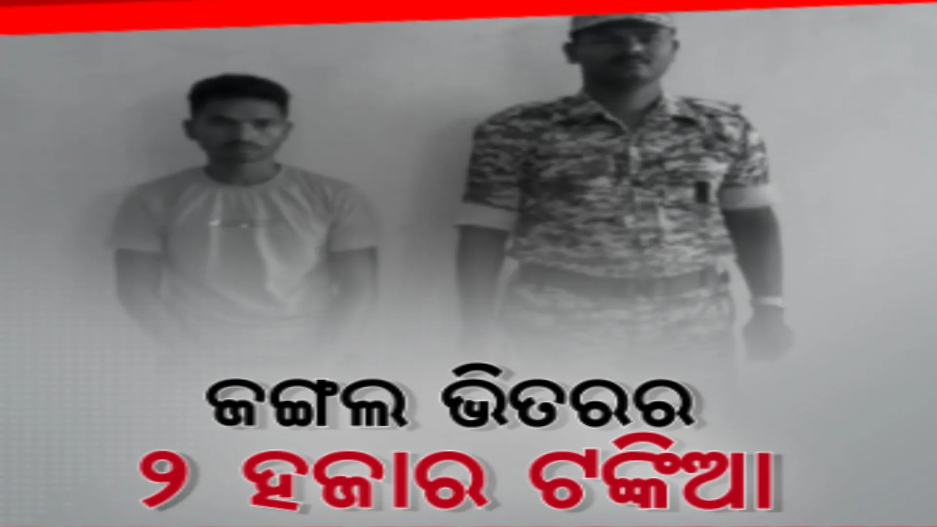 ଜଙ୍ଗଲ ଭିତରେ ଅଛି ପୁଳାପୁଳା ୨ ହଜାର ଟଙ୍କିଆ ନୋଟ୍, ଅବଧି ଆଗରୁ ଟଙ୍କା ଖର୍ଚ କରିବାକୁ ମାଓବାଦୀଙ୍କ ଚକ୍ରାନ୍ତ