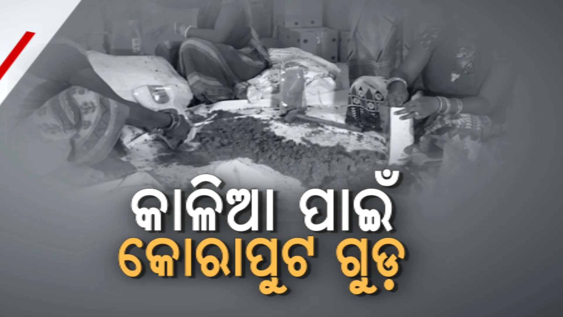 କାଳିଆ ସେବାରେ ଲାଗିବ କୋରାପୁଟ ଗୁଡ଼ । ପ୍ରସ୍ତୁତି ଶେଷ, ଏବେ ପୁରୀ ଯିବା ପାଇଁ ଅପେକ୍ଷା