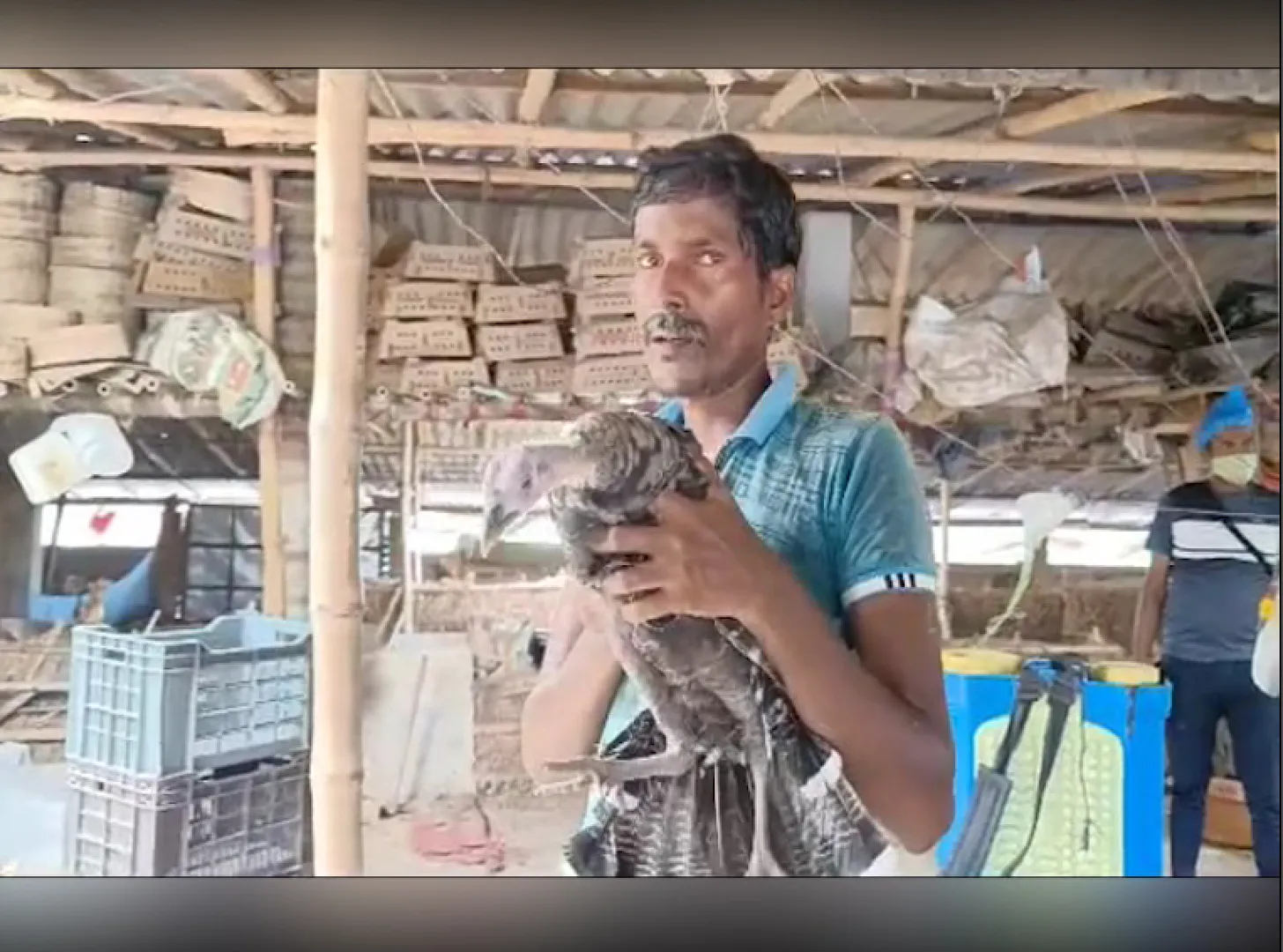 ବିଦେଶୀ କୁକୁଡ଼ା ଓ ବତକ ଫାର୍ମ କରି ଆତ୍ମନିର୍ଭର ହୋଇଛନ୍ତି ବାଲିଆପାଳର ଯୁବ ଉଦ୍ୟୋଗୀ ଜଗନ୍ନାଥ । ସ୍ଥାନୀୟ ଅଂଚଳର ଯୁବକଙ୍କୁ ବି ଦେଇଛନ୍ତି ରୋଜଗାର