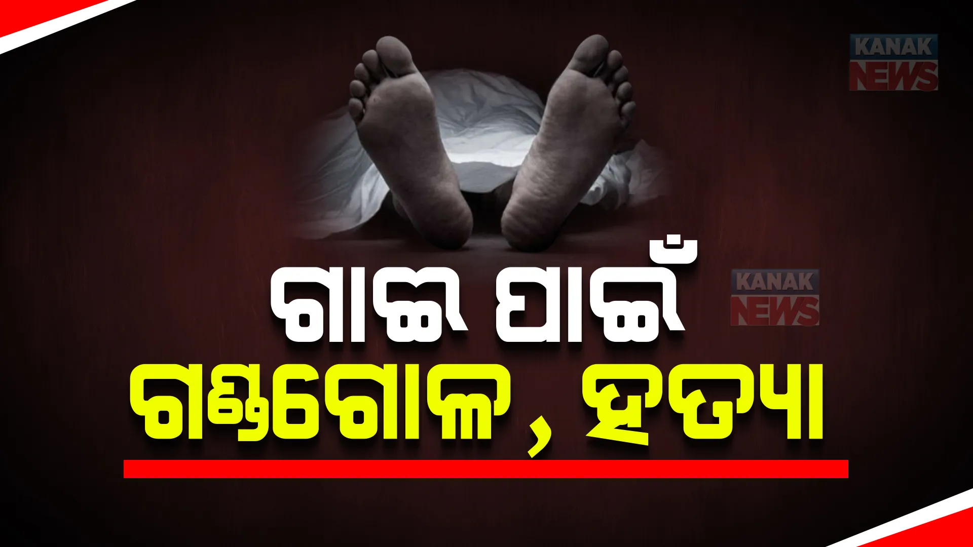 ଧାନ ତଳି ଗାଈ ଖାଇଦେଲା ବୋଲି ହତ୍ୟା । ଜମି ମାଲିକଙ୍କୁ ଗାଈ ମାଲିକଙ୍କ ପତ୍ନୀ ତେଣ୍ଟା ଭୁସି ହତ୍ୟା କରିଥିବା ଅଭିଯୋଗ ।