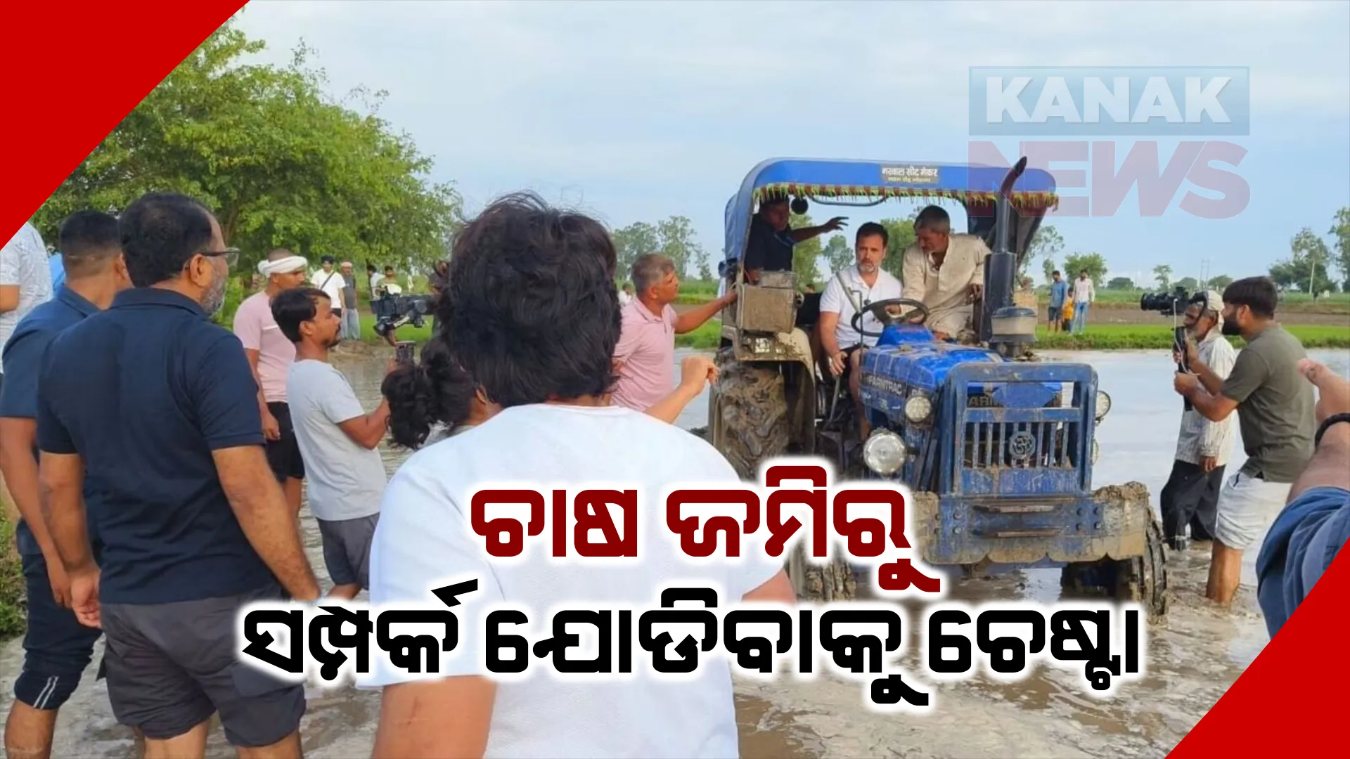 ହରିଆଣା ସୋନିପଥରେ ପହଁଚିଲେ, ଚାଷୀଙ୍କ ସହ ଏକାଠି ମିଶି ତଳି ରୋଇଲେ ରାହୁଲ ଗାନ୍ଧୀ । ସୋସିଆଲ ମିଡିଆରେ ରାହୁଲଙ୍କ ଭିଡିଓ ଓ ଫଟୋ ଭାଇରାଲ